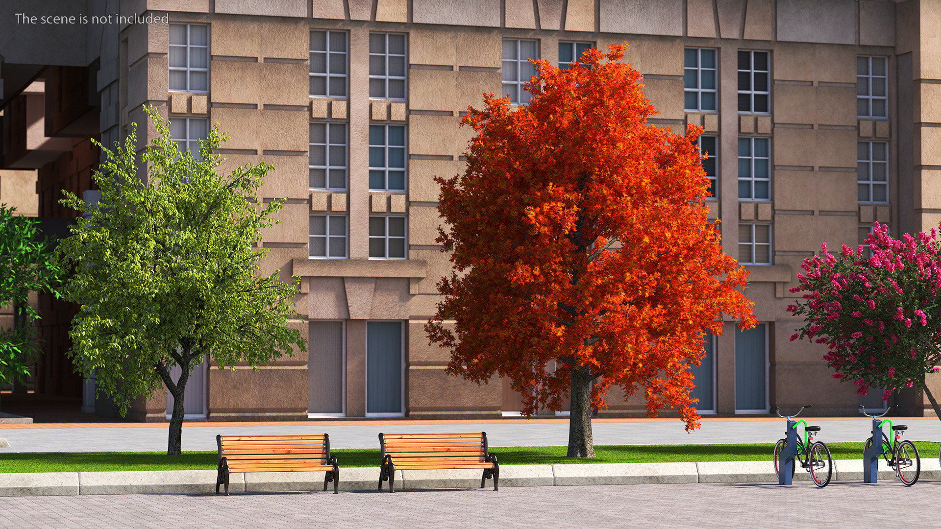 3D model Autumn Oak Tree
