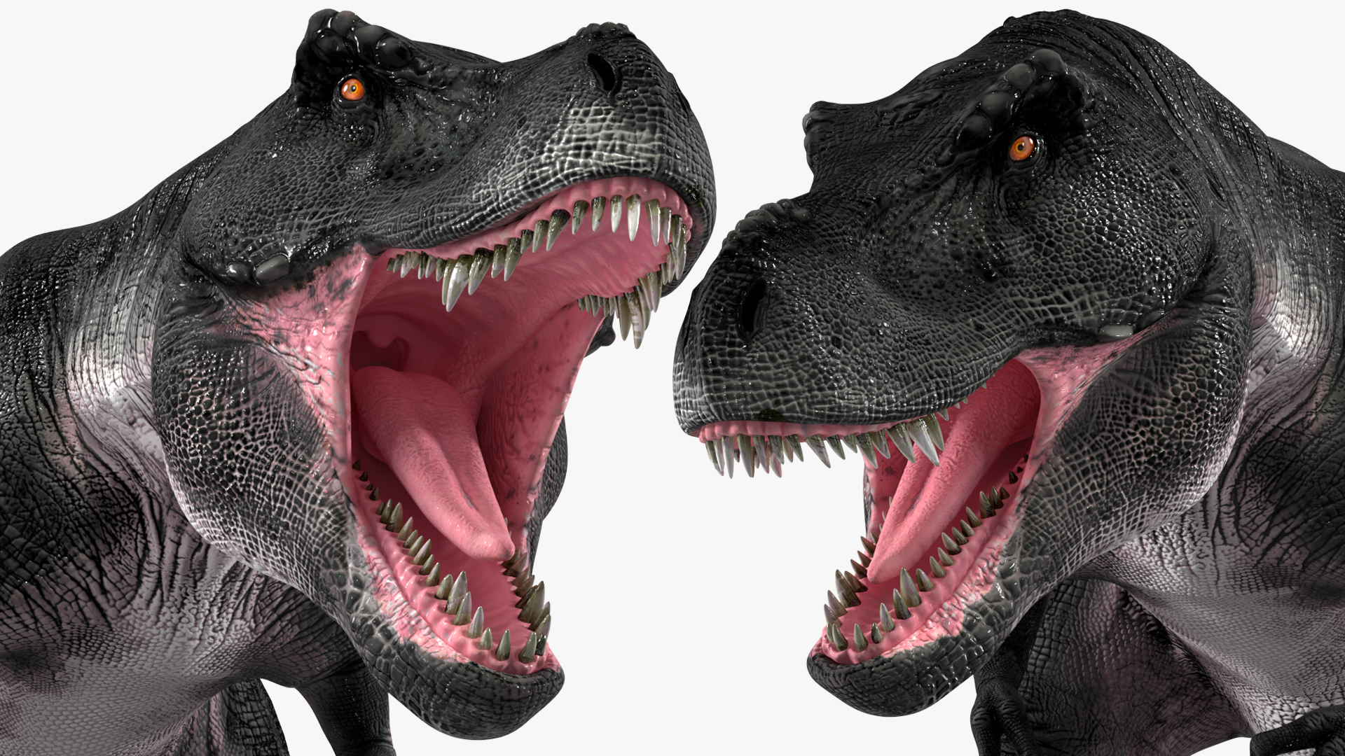 T Rex Roaring Animated Rigged 3D model
