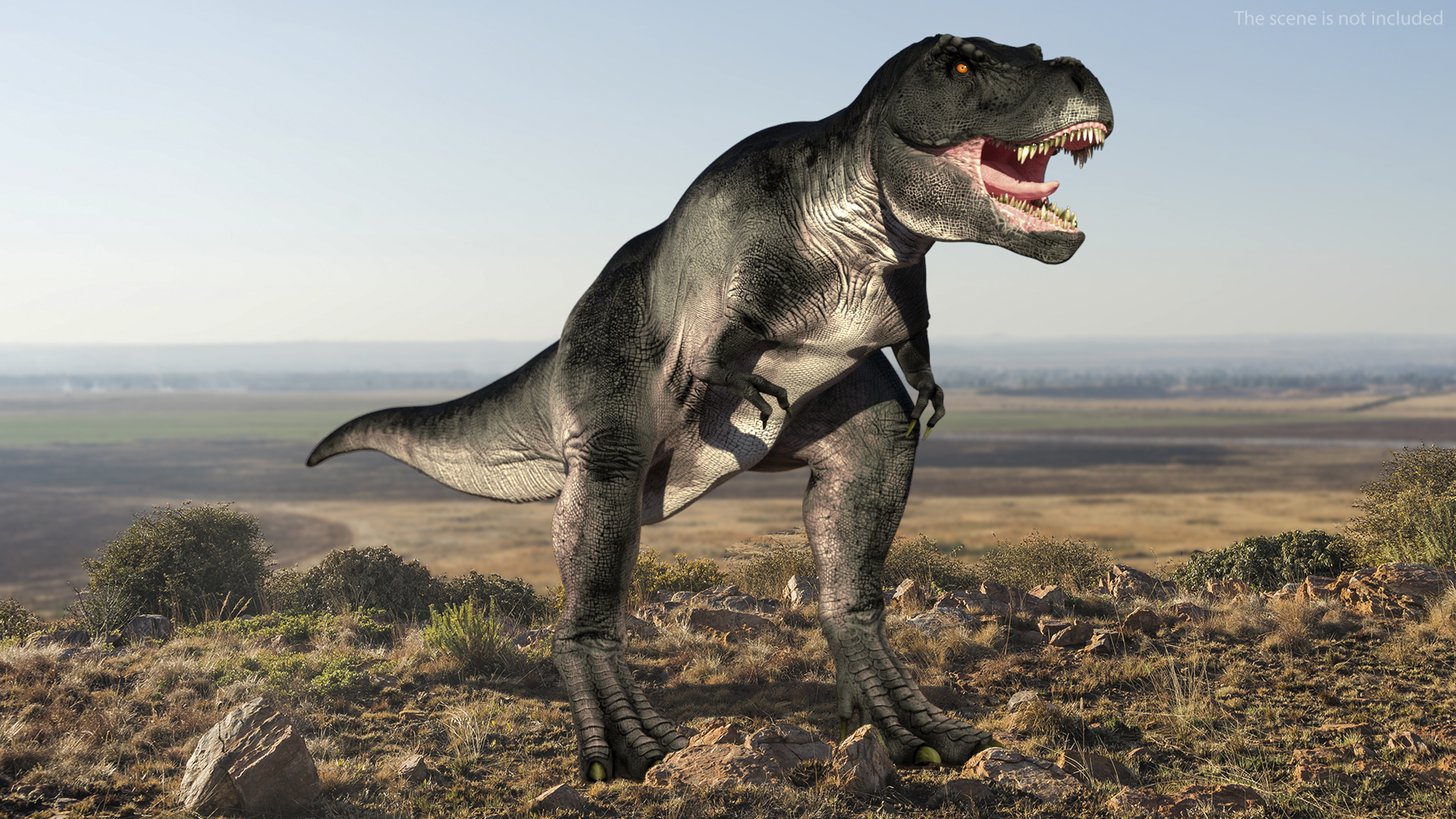T Rex Roaring Animated Rigged 3D model