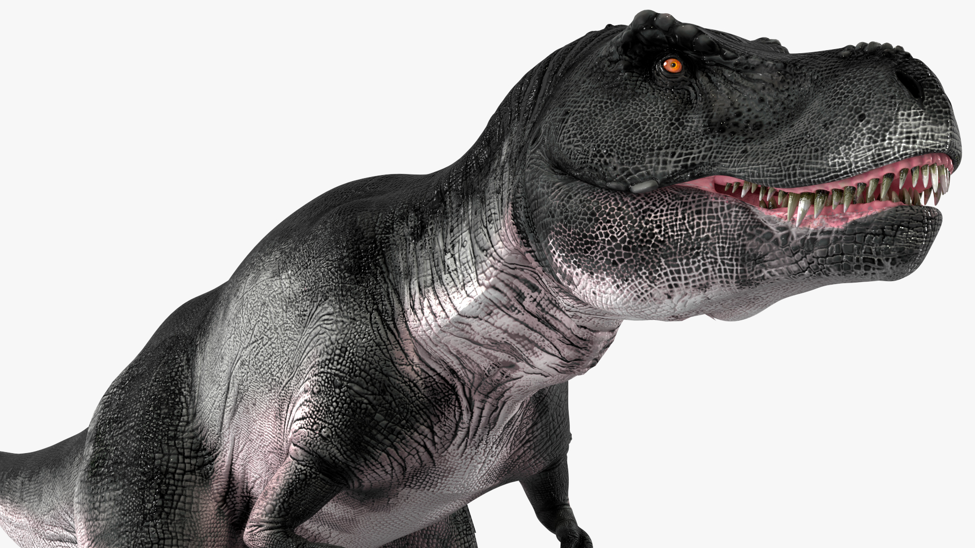 T Rex Roaring Animated Rigged 3D model