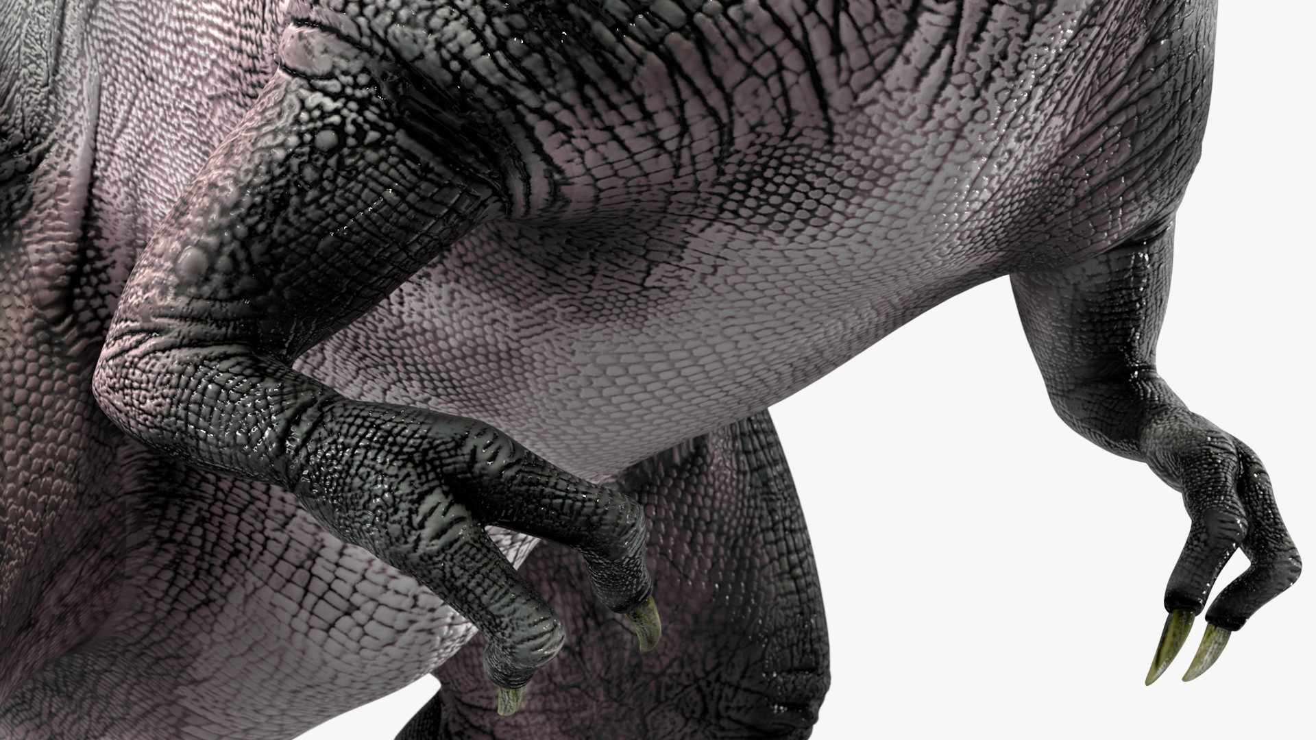 T Rex Roaring Animated Rigged 3D model