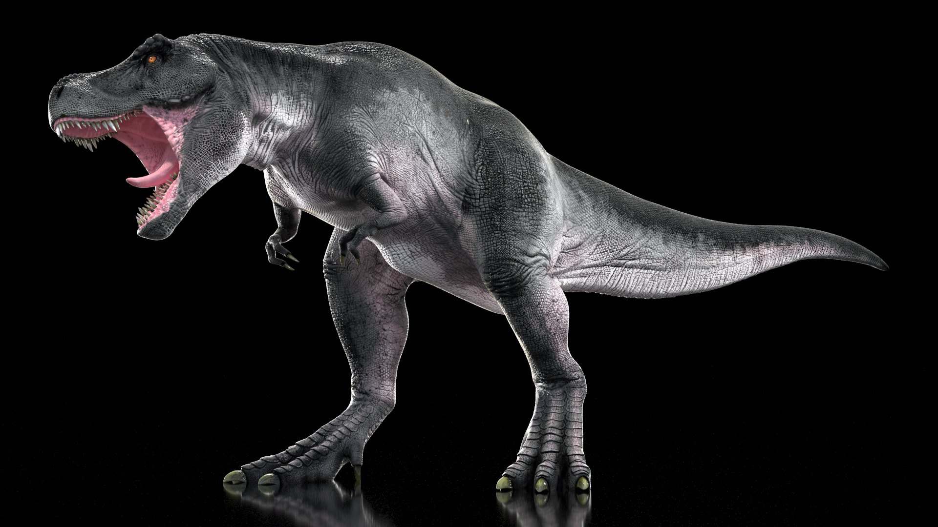 T Rex Roaring Animated Rigged 3D model