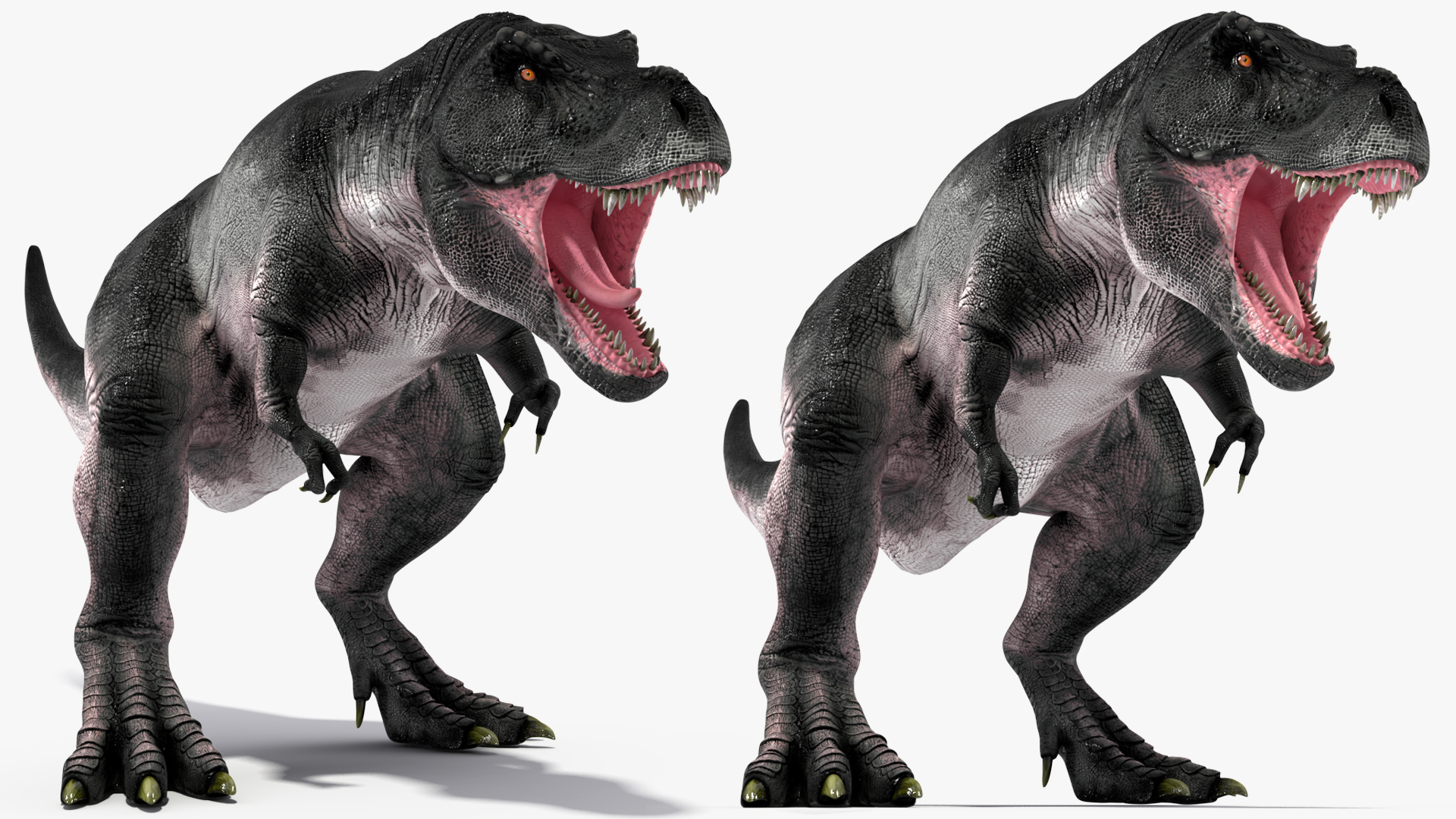 T Rex Roaring Animated Rigged 3D model