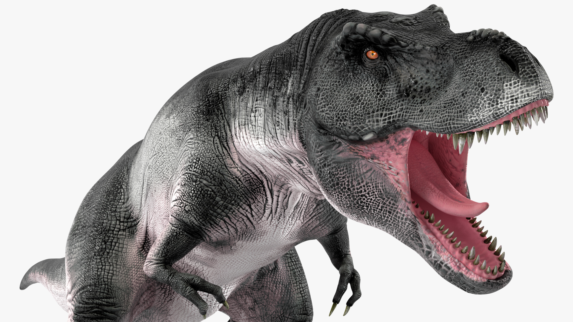 T Rex Roaring Animated Rigged 3D model