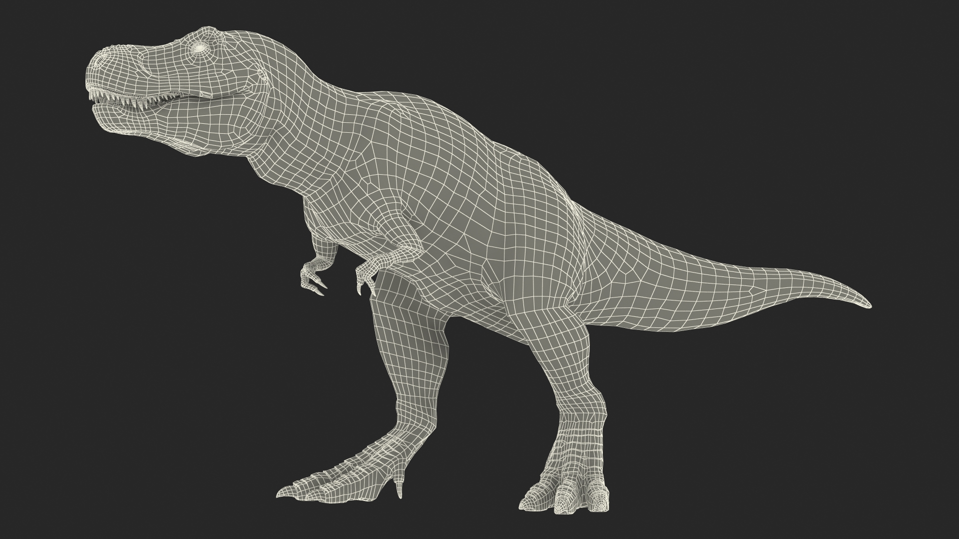 T Rex Roaring Animated Rigged 3D model