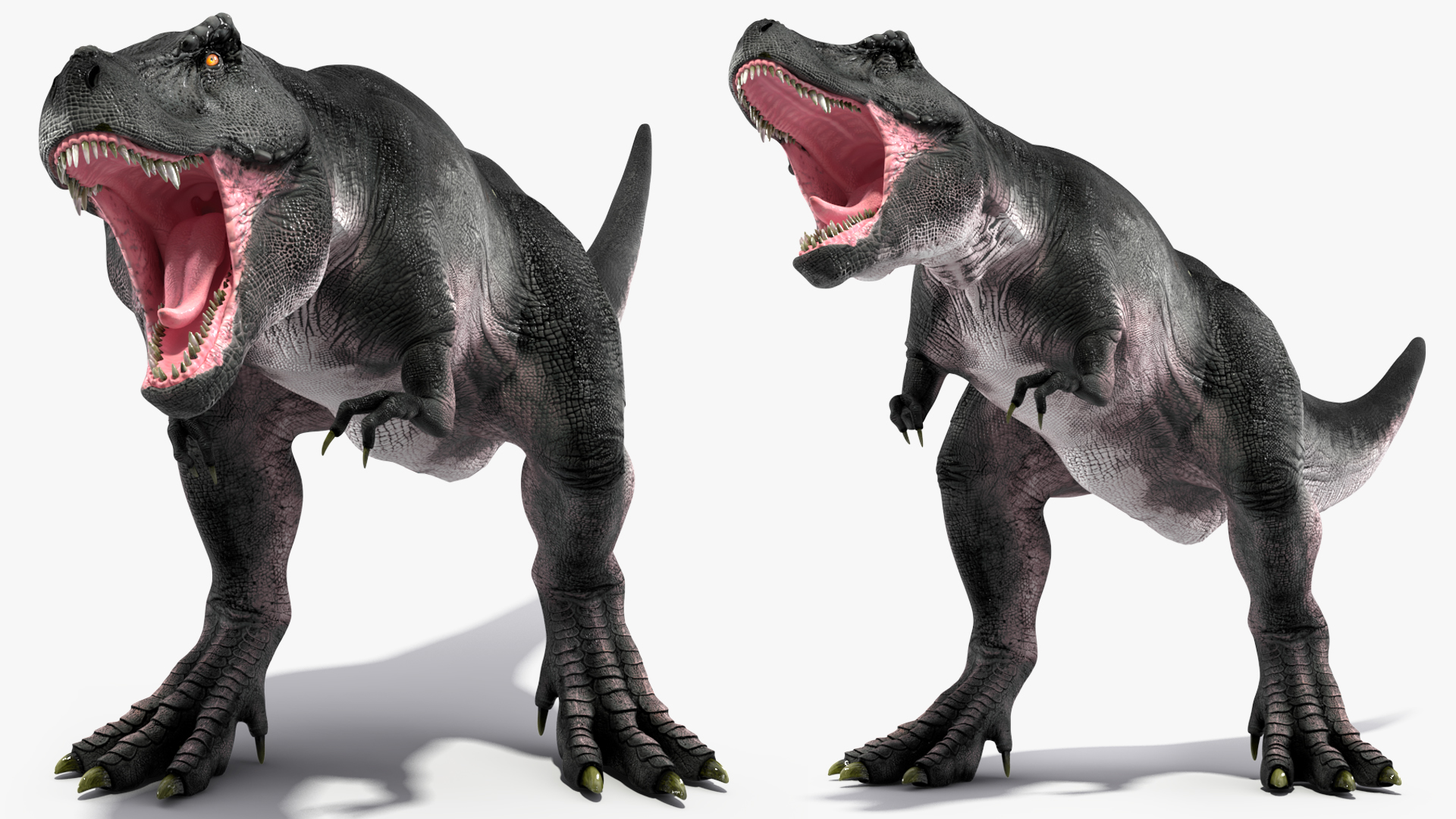 T Rex Roaring Animated Rigged 3D model