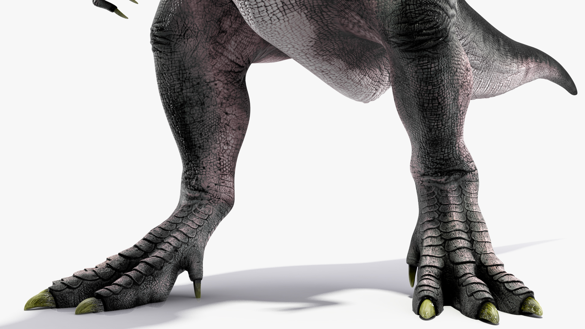 T Rex Roaring Animated Rigged 3D model