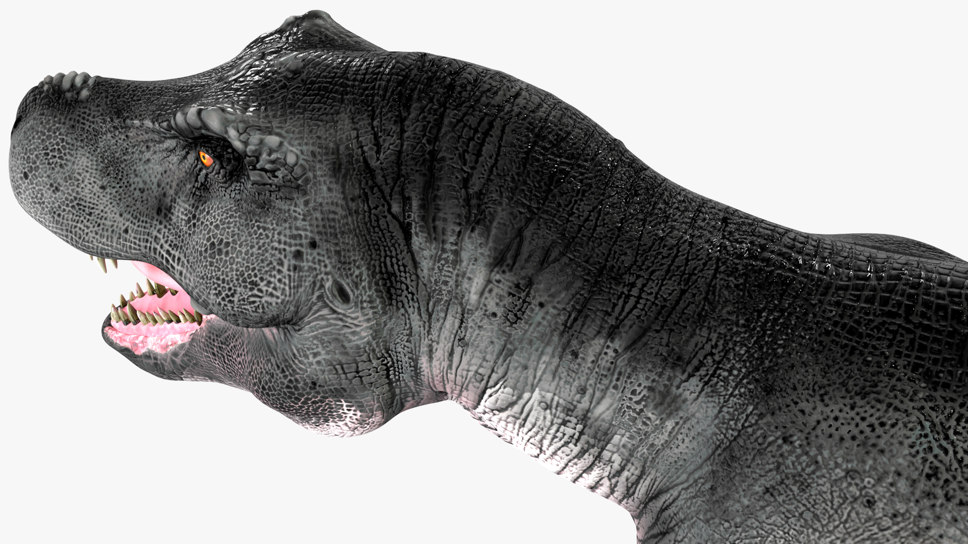 T Rex Roaring Animated Rigged 3D model