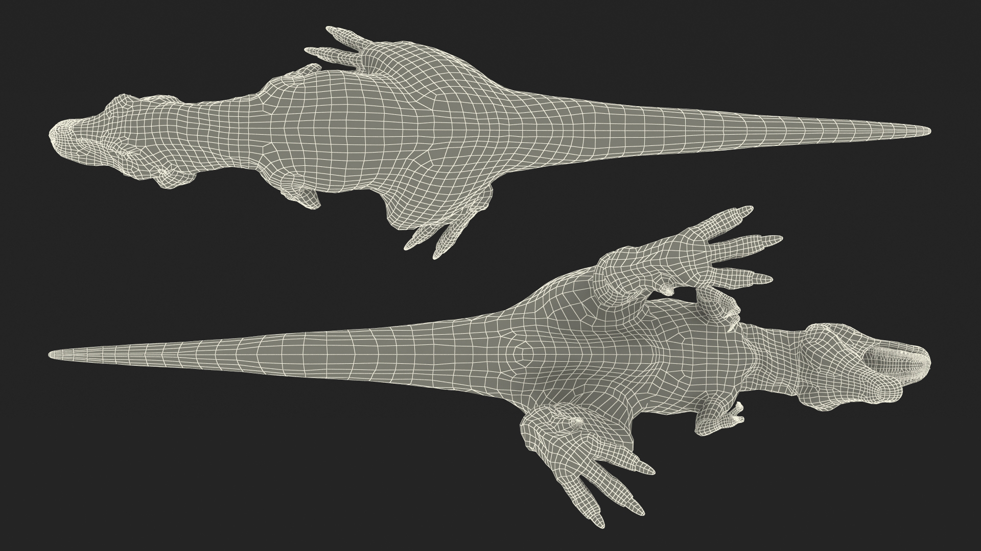T Rex Roaring Animated Rigged 3D model