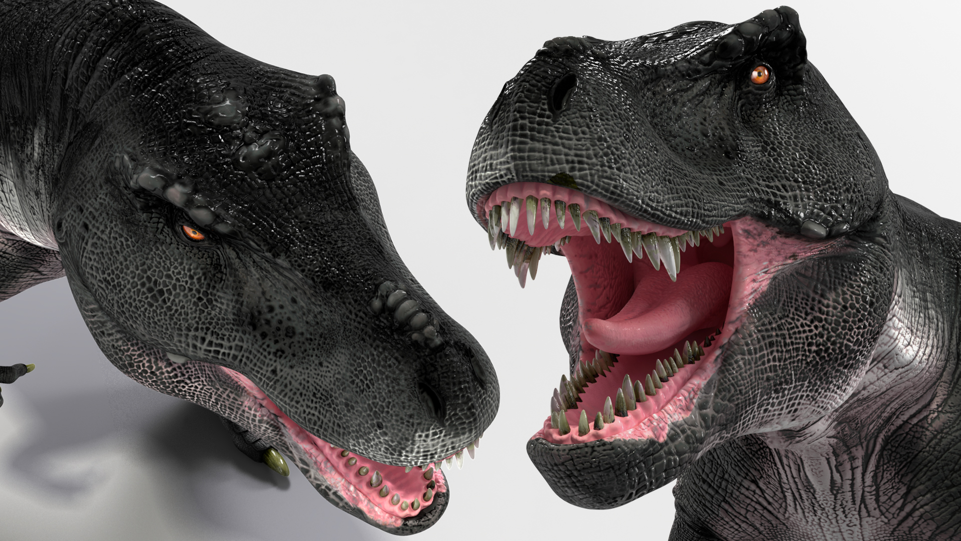 T Rex Roaring Animated Rigged 3D model