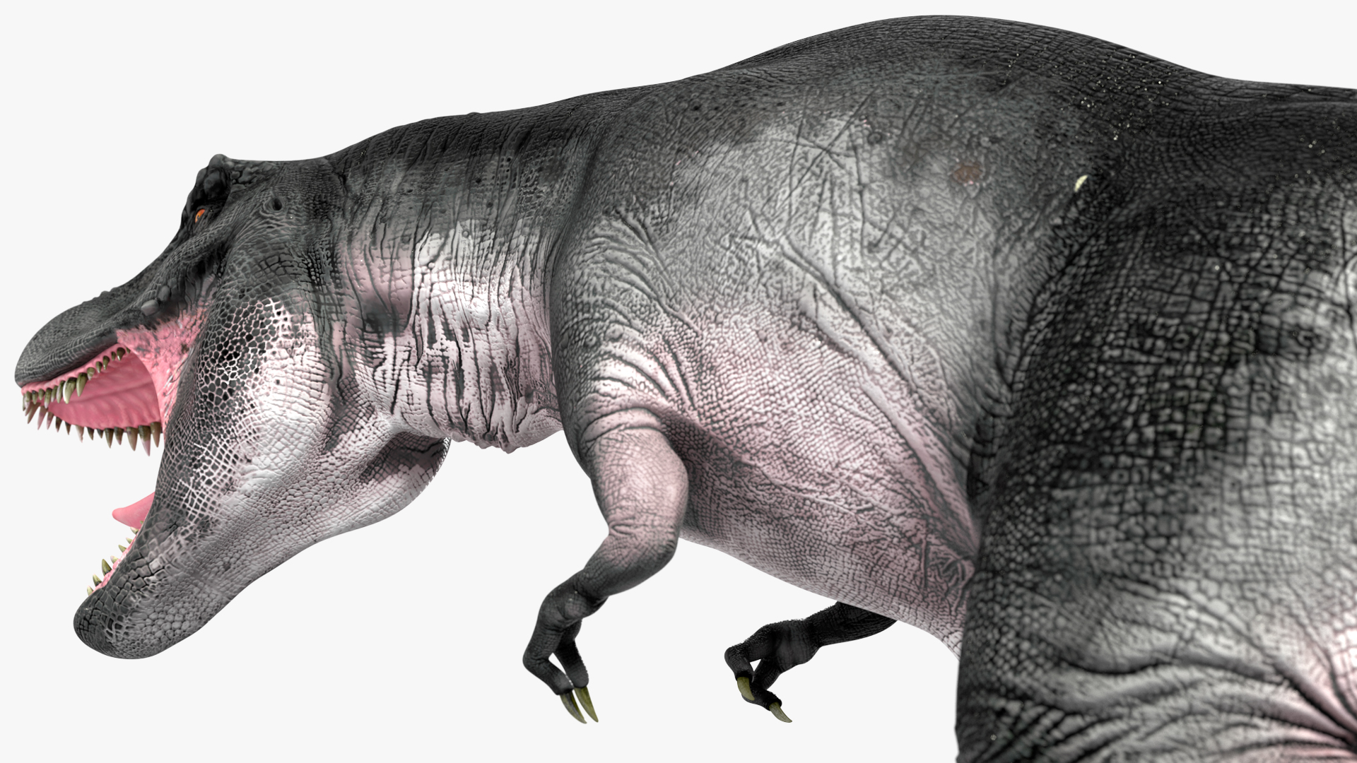 T Rex Roaring Animated Rigged 3D model
