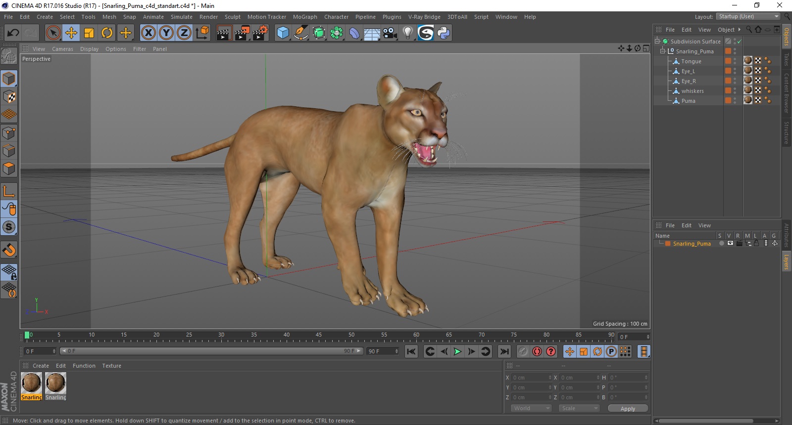 3D Snarling Puma model