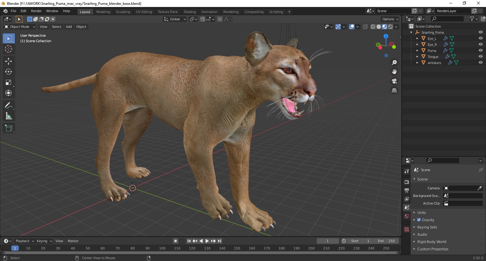 3D Snarling Puma model