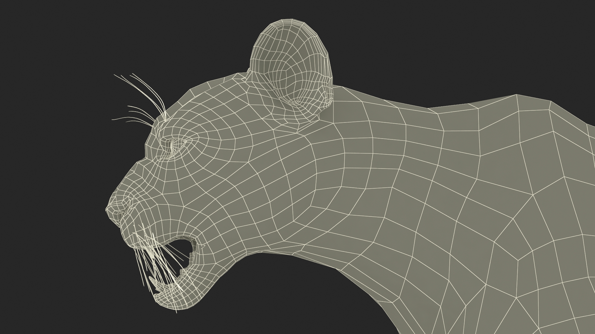 3D Snarling Puma model