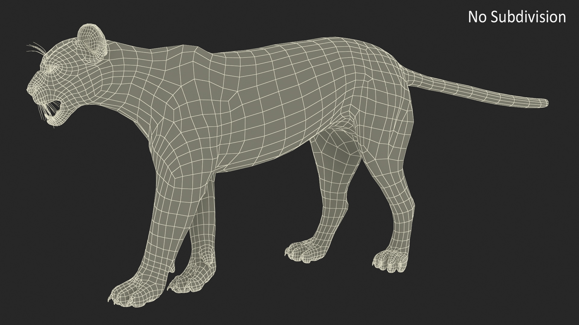3D Snarling Puma model