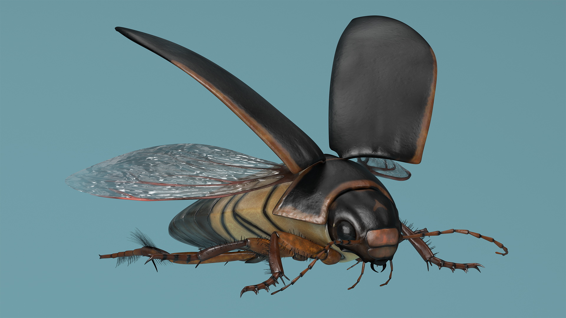 Aquatic Beetle Black Realistic Flying 3D