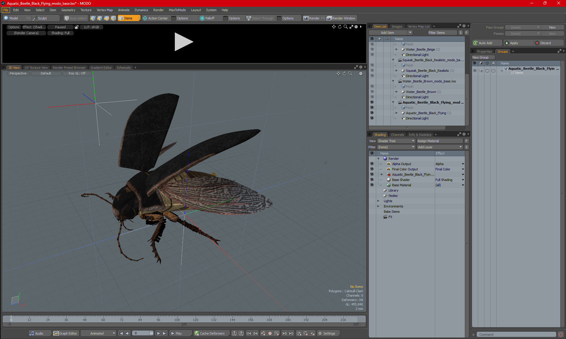 Aquatic Beetle Black Realistic Flying 3D