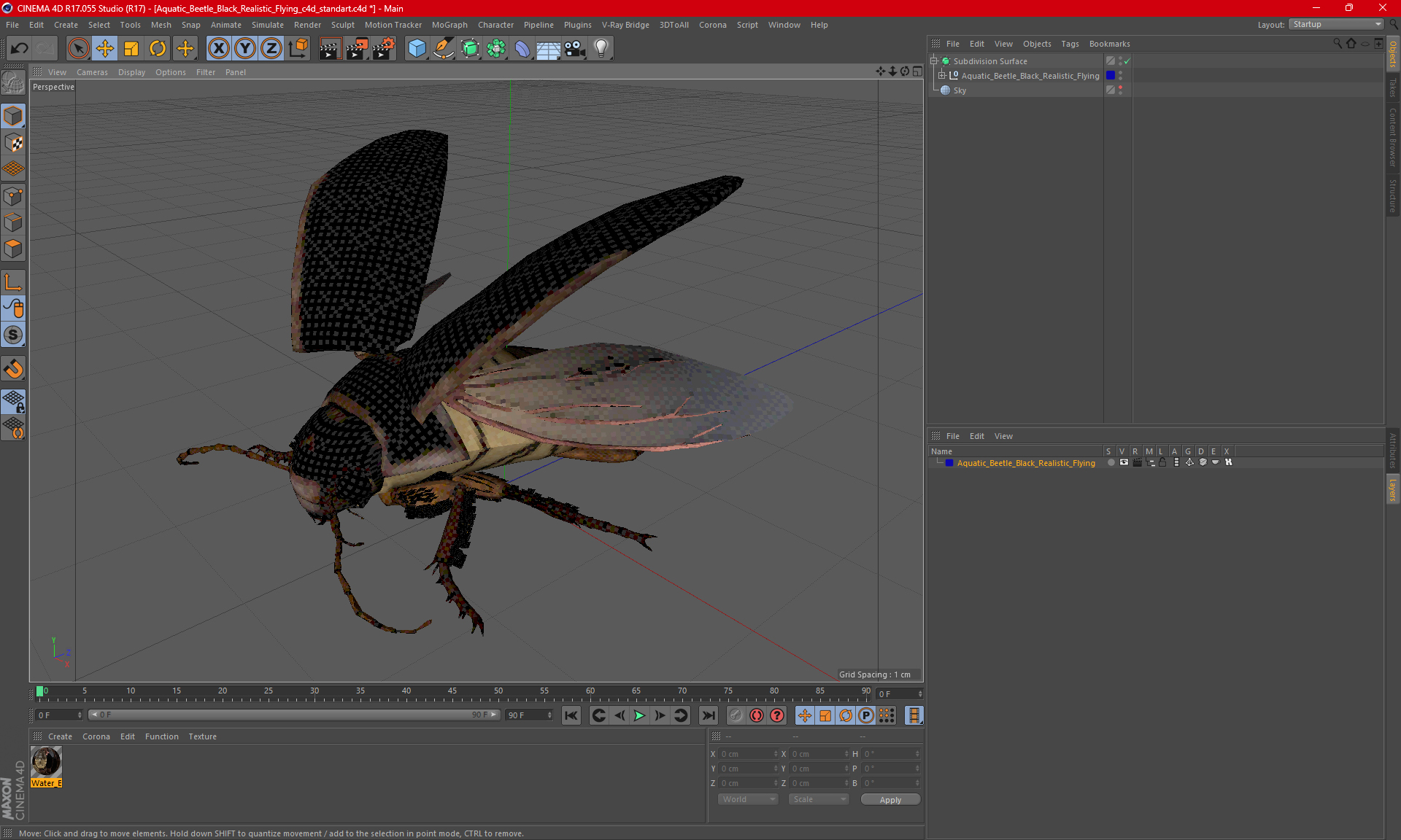 Aquatic Beetle Black Realistic Flying 3D