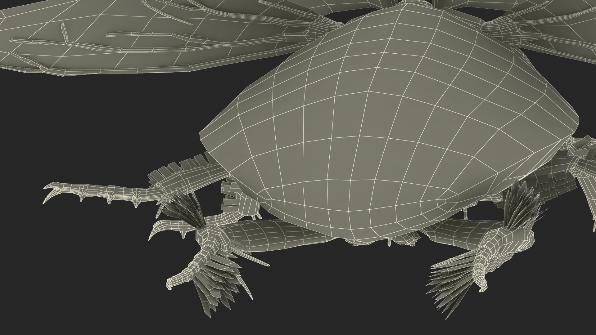 Aquatic Beetle Black Realistic Flying 3D