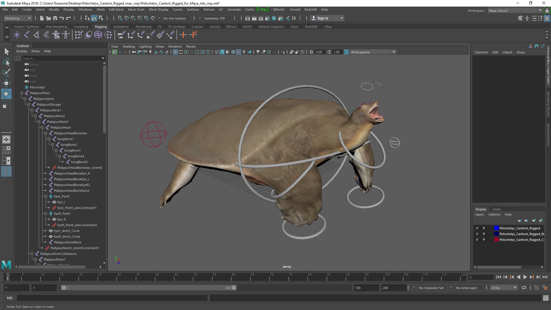 3D model Pelochelys Cantorii Rigged for Maya