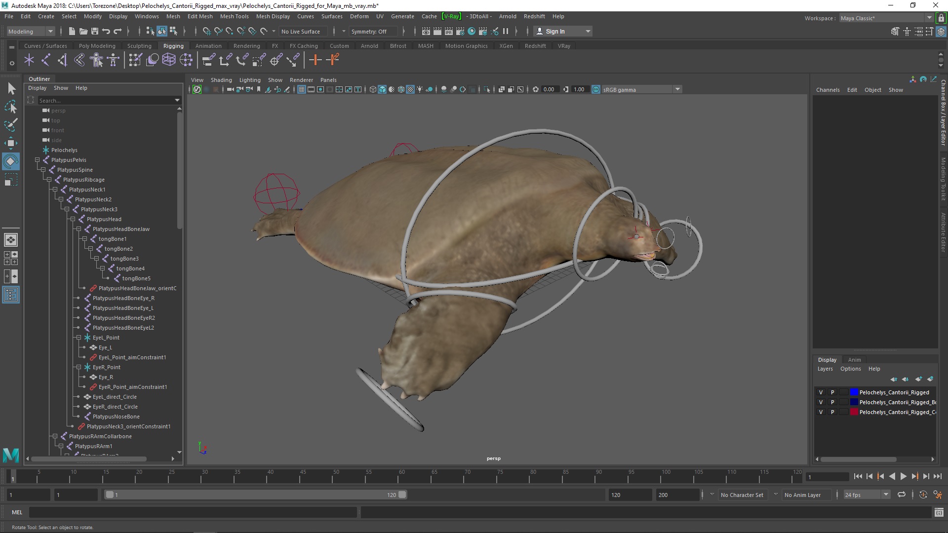 3D model Pelochelys Cantorii Rigged for Maya