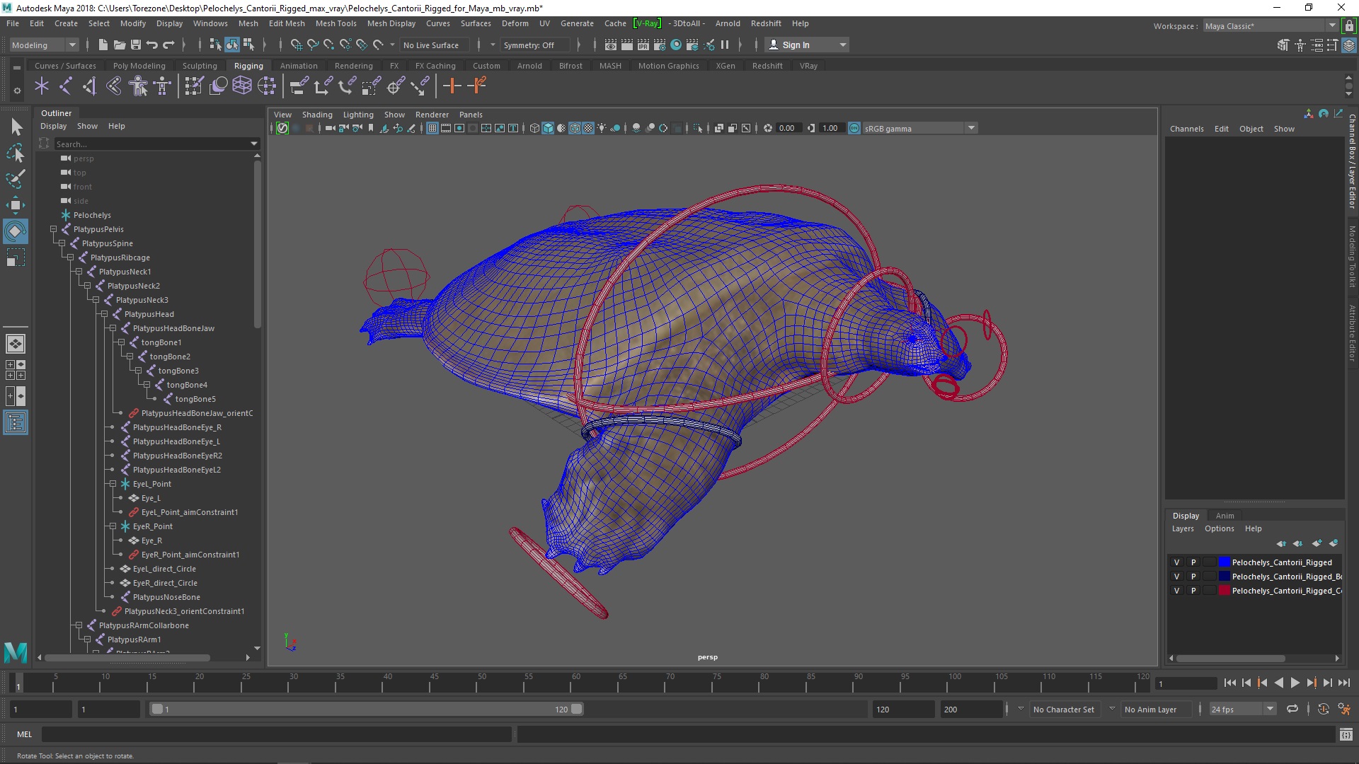 3D model Pelochelys Cantorii Rigged for Maya