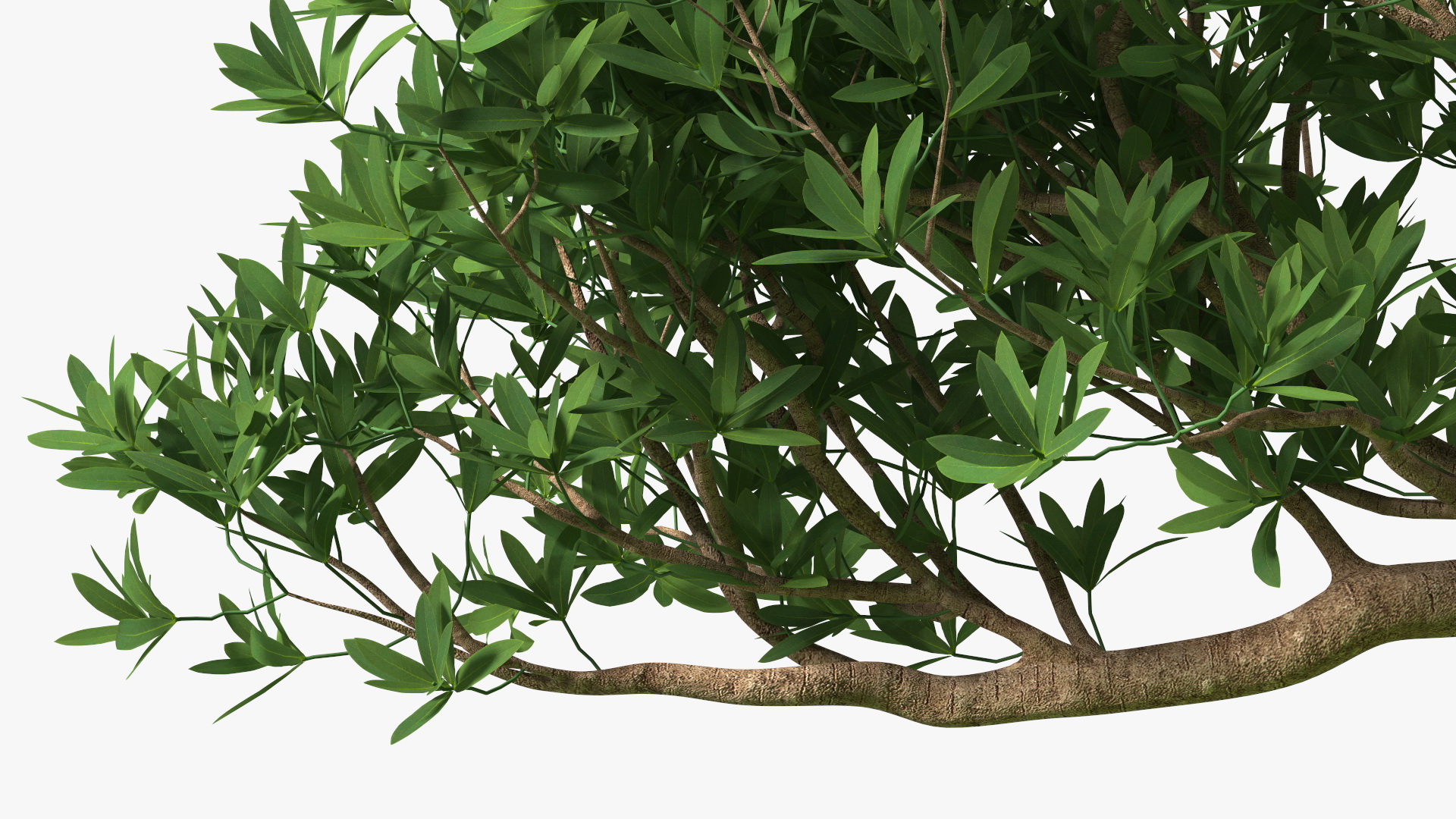 3D model Round Soil Ground Cross Section with Tree Fur