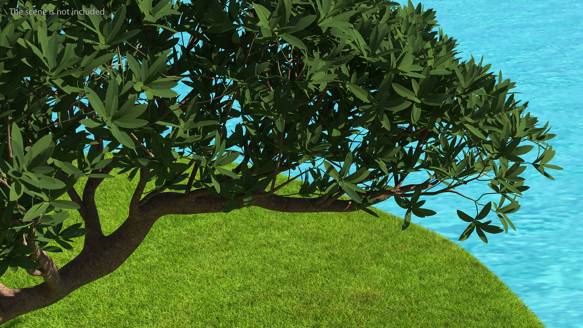 3D model Round Soil Ground Cross Section with Tree Fur