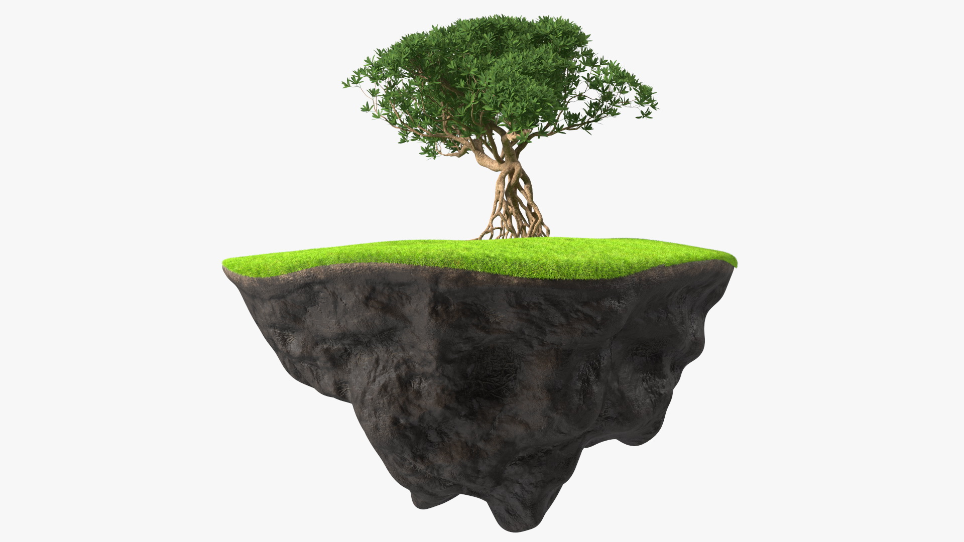 3D model Round Soil Ground Cross Section with Tree Fur