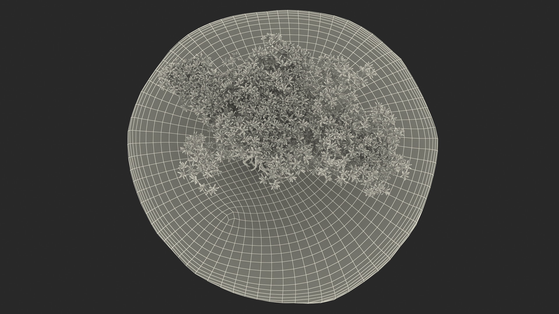 3D model Round Soil Ground Cross Section with Tree Fur