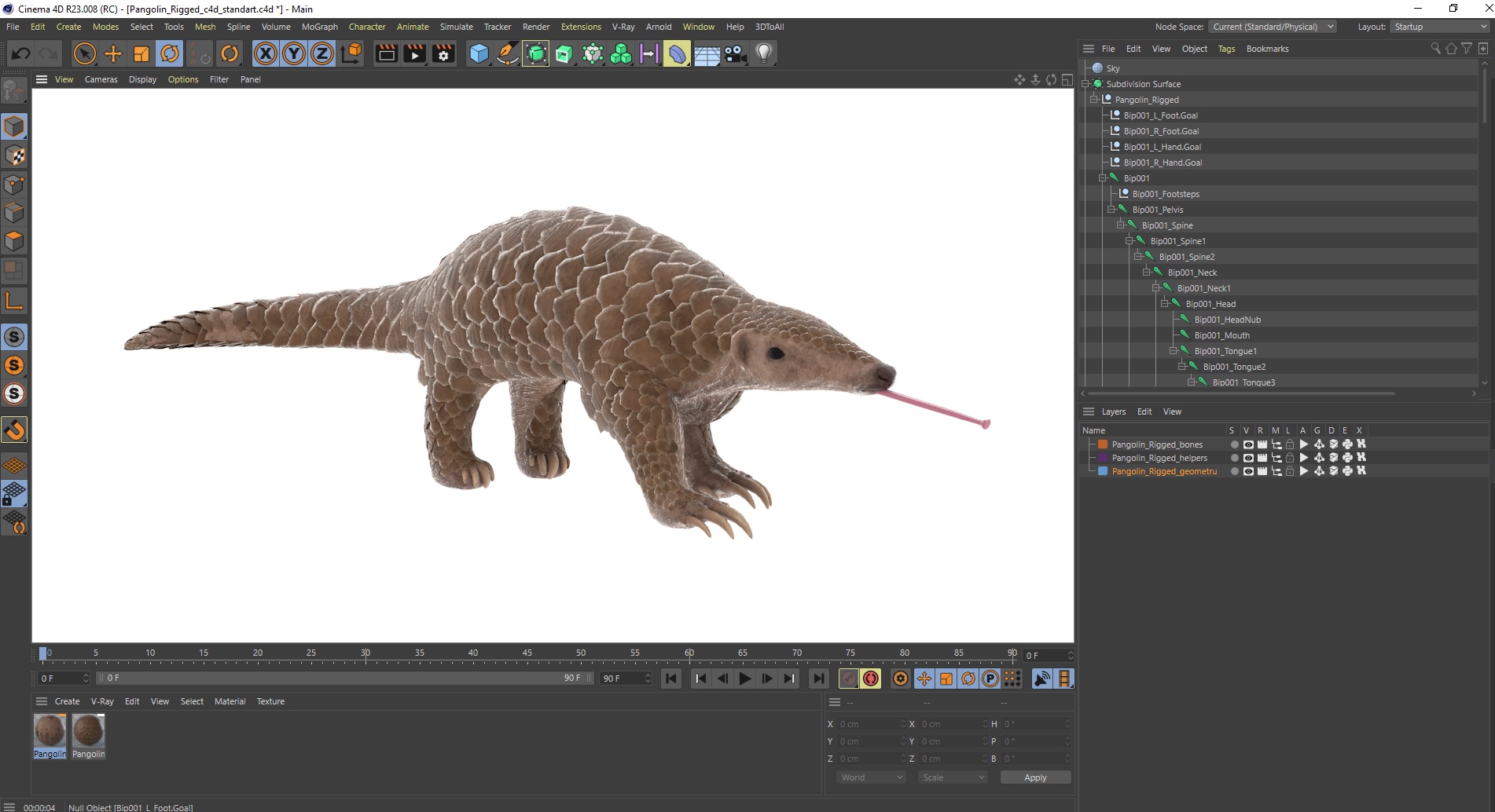 Pangolin Rigged for Cinema 4D 3D model
