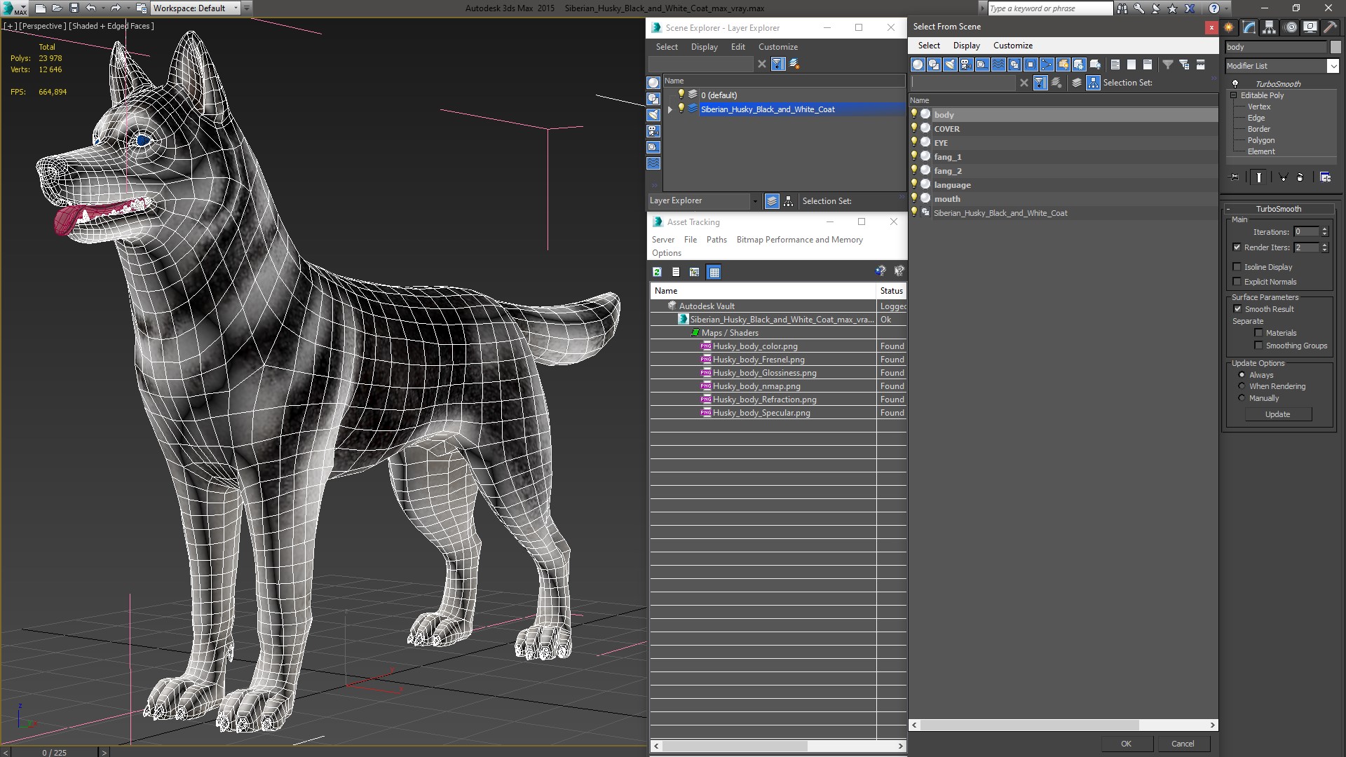3D model Siberian Husky Black and White Coat