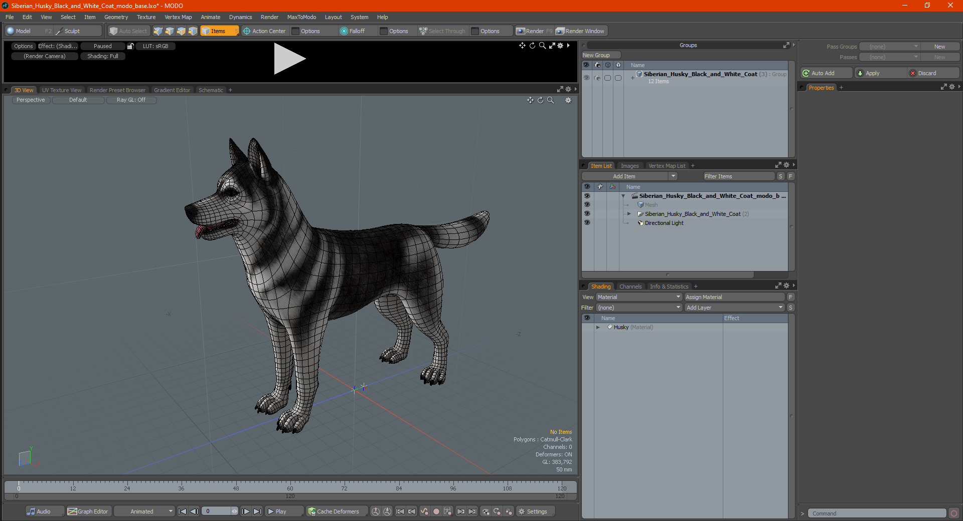 3D model Siberian Husky Black and White Coat