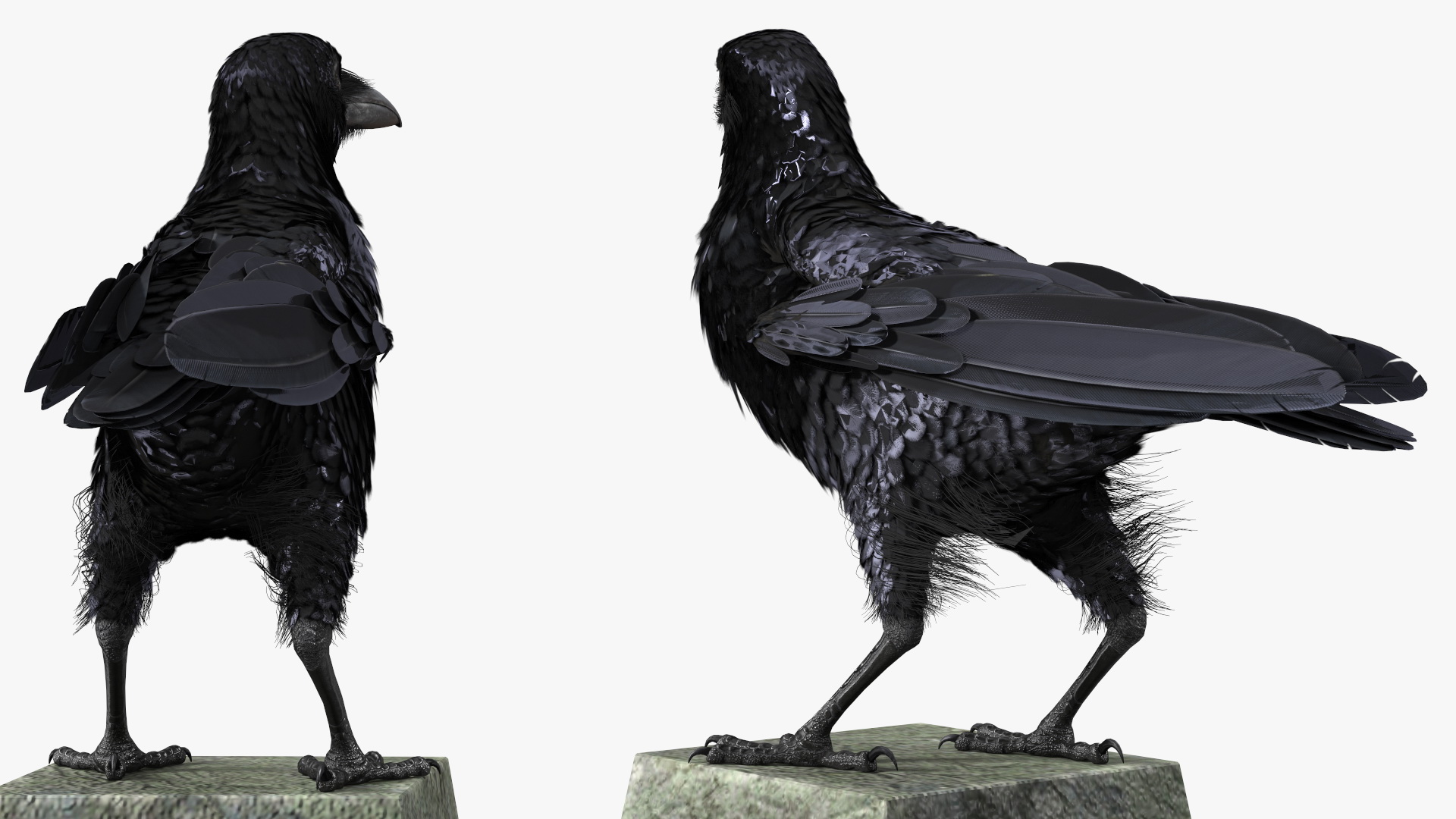 3D Raven on Halloween Tombstone model