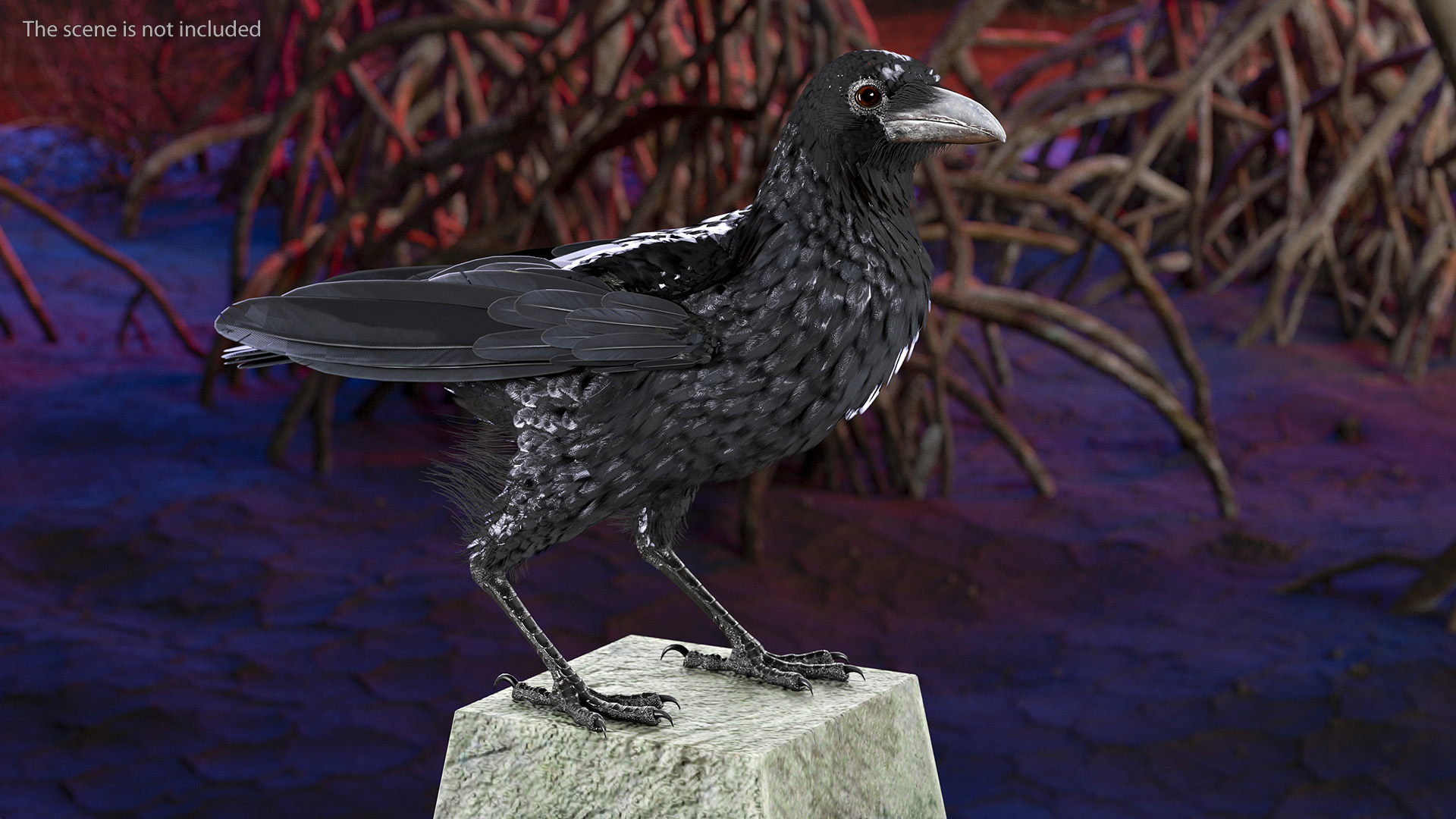 3D Raven on Halloween Tombstone model