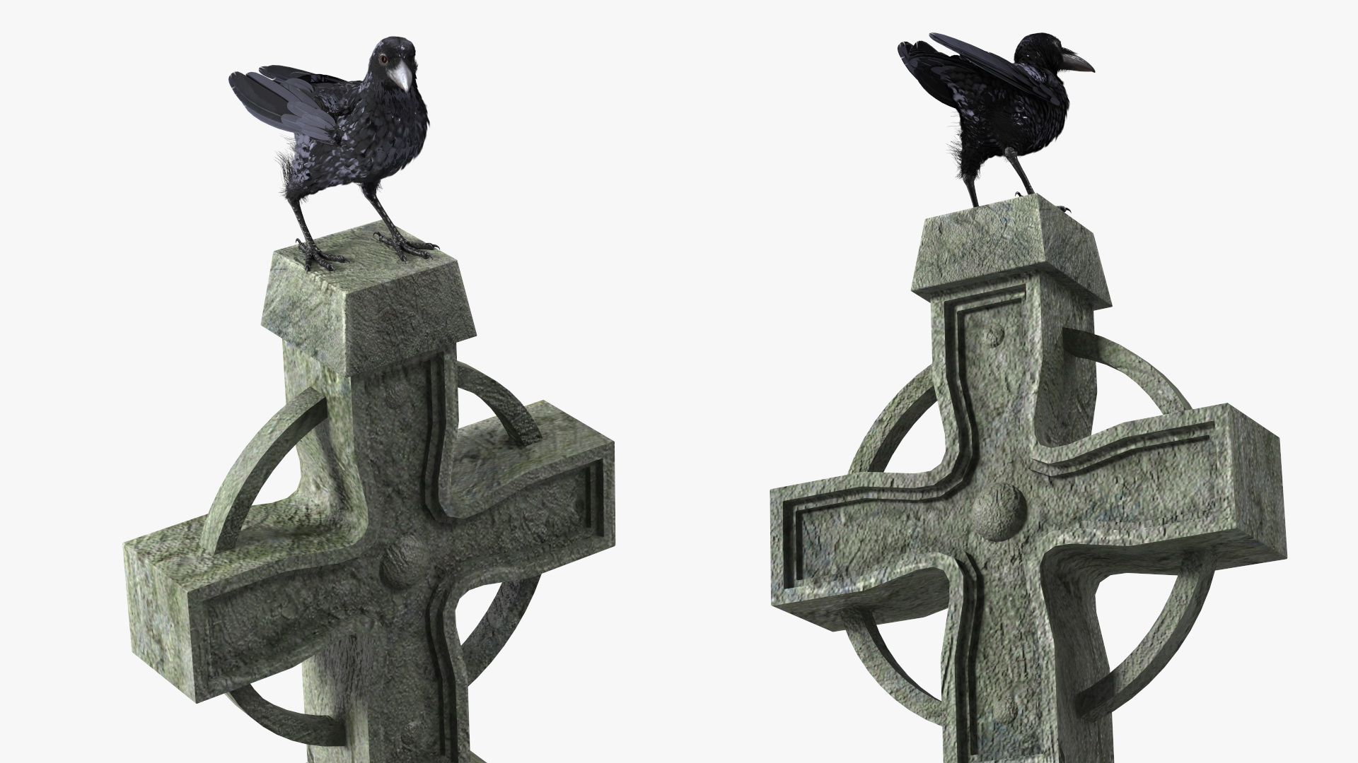 3D Raven on Halloween Tombstone model