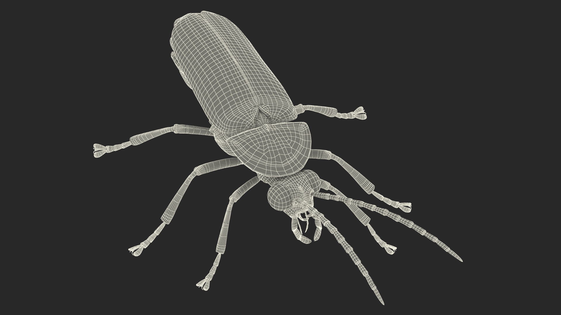 3D Firefly Crawling Pose