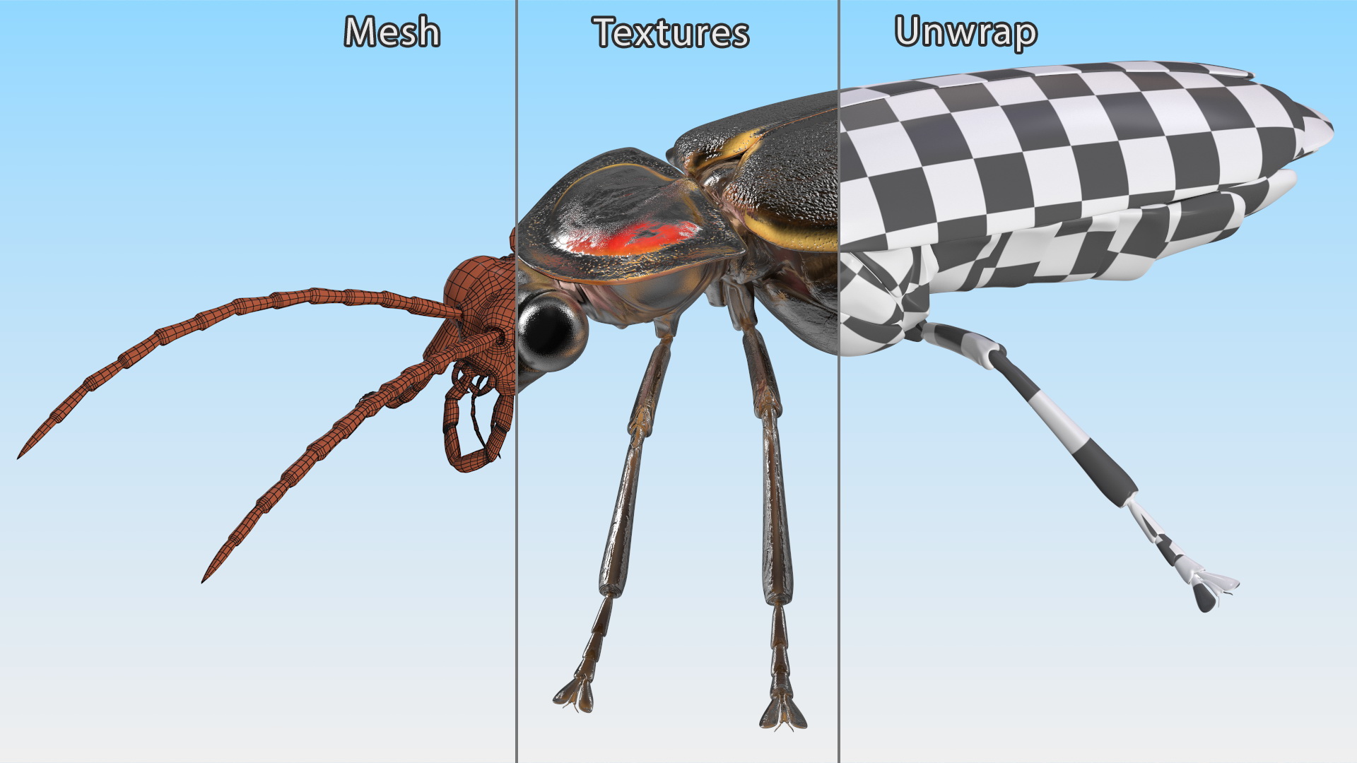 3D Firefly Crawling Pose