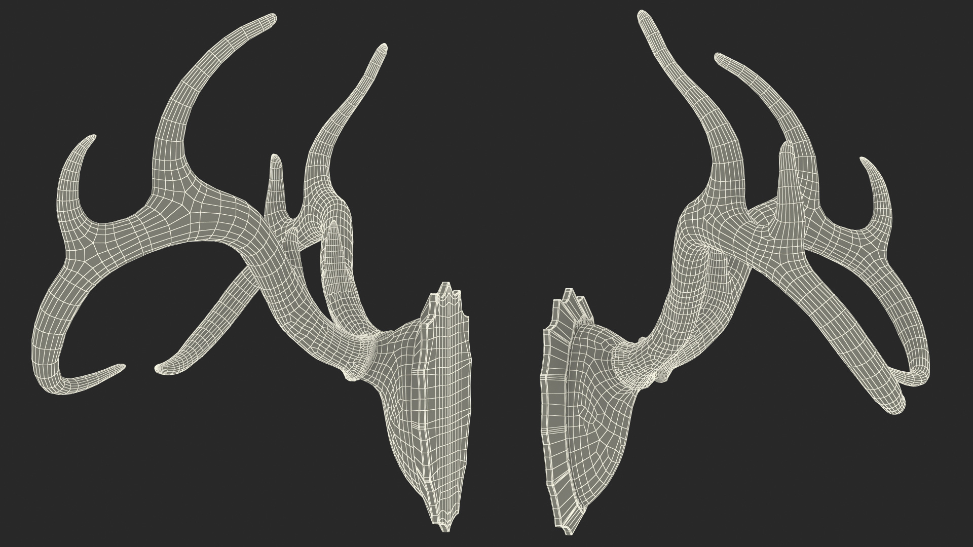 3D Deer Antlers on a Wall Mount model