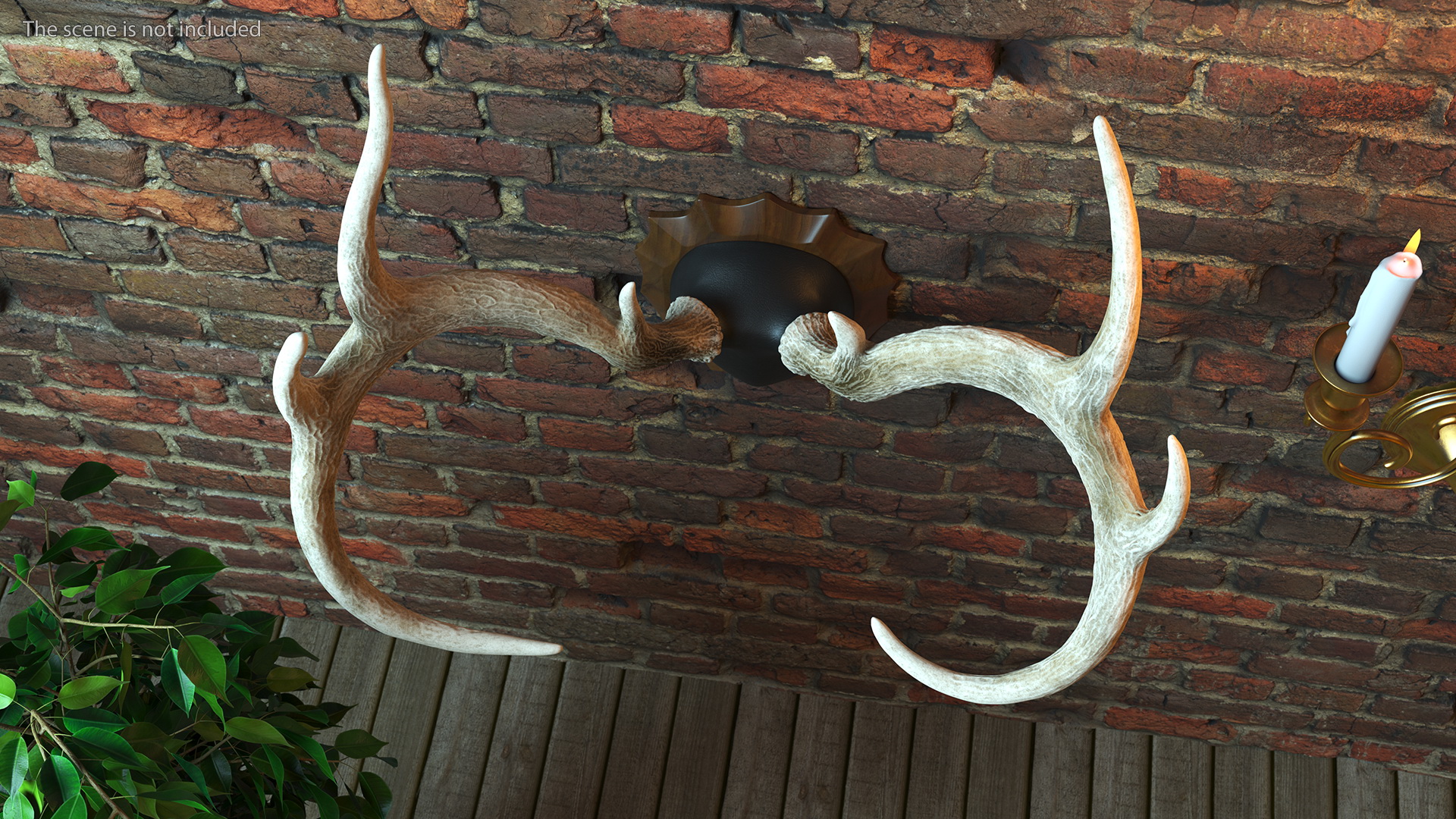 3D Deer Antlers on a Wall Mount model