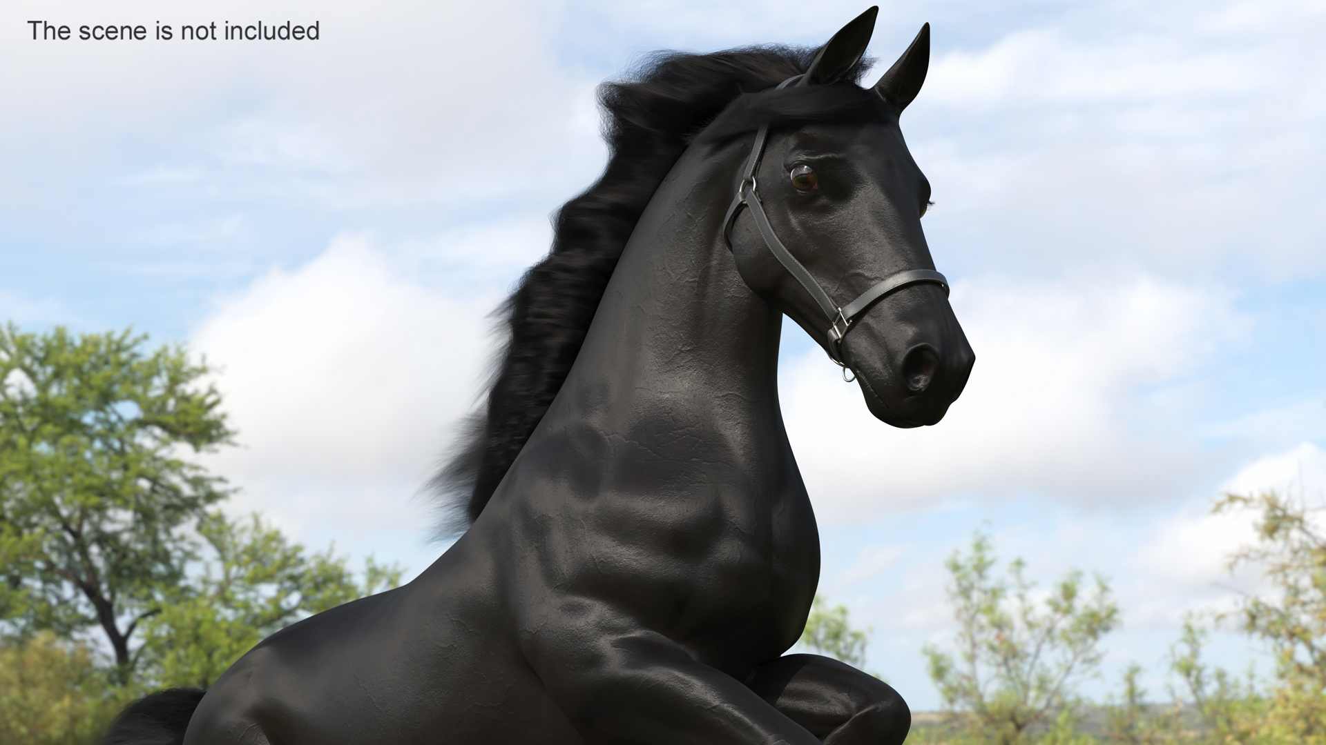 3D Running Friesian Horse Fur