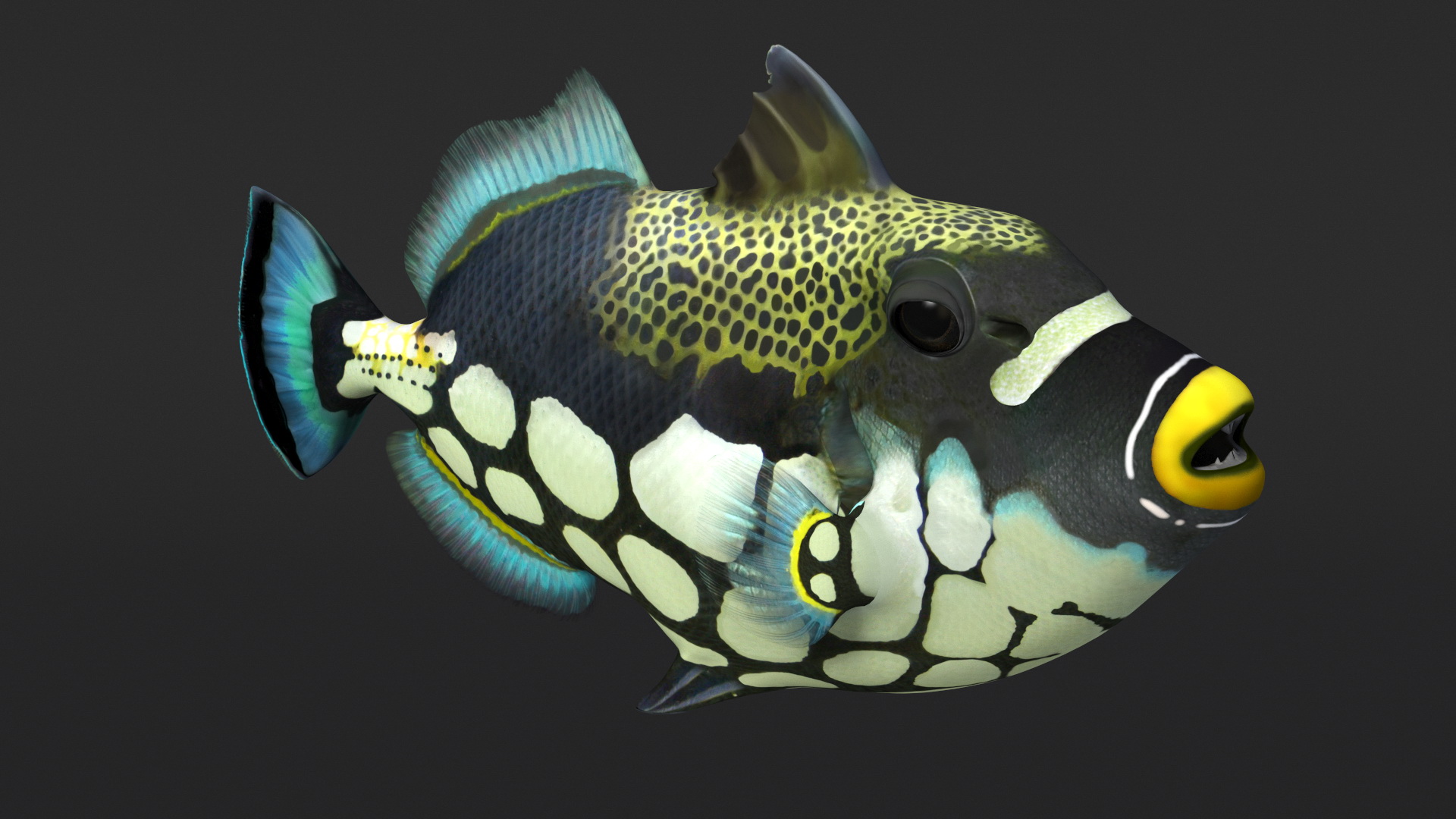 3D Realistic Clown Trigger Fish model
