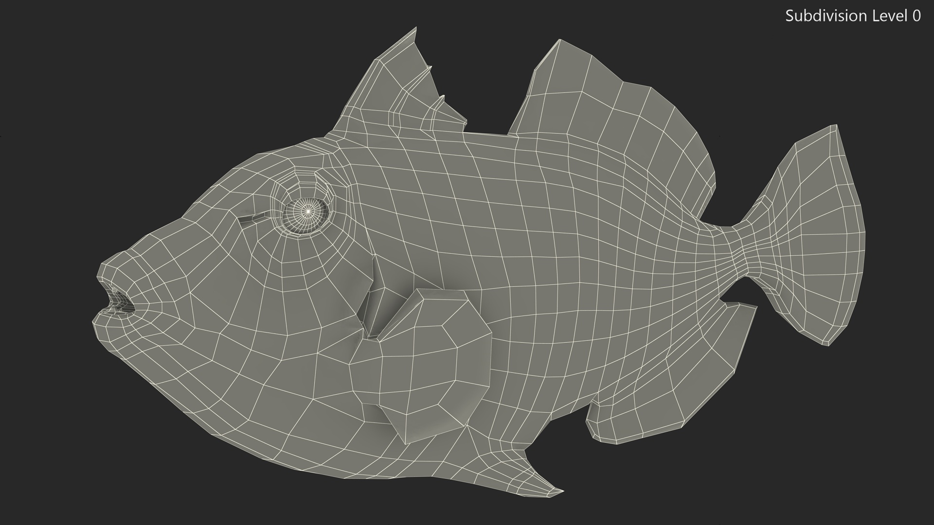 3D Realistic Clown Trigger Fish model
