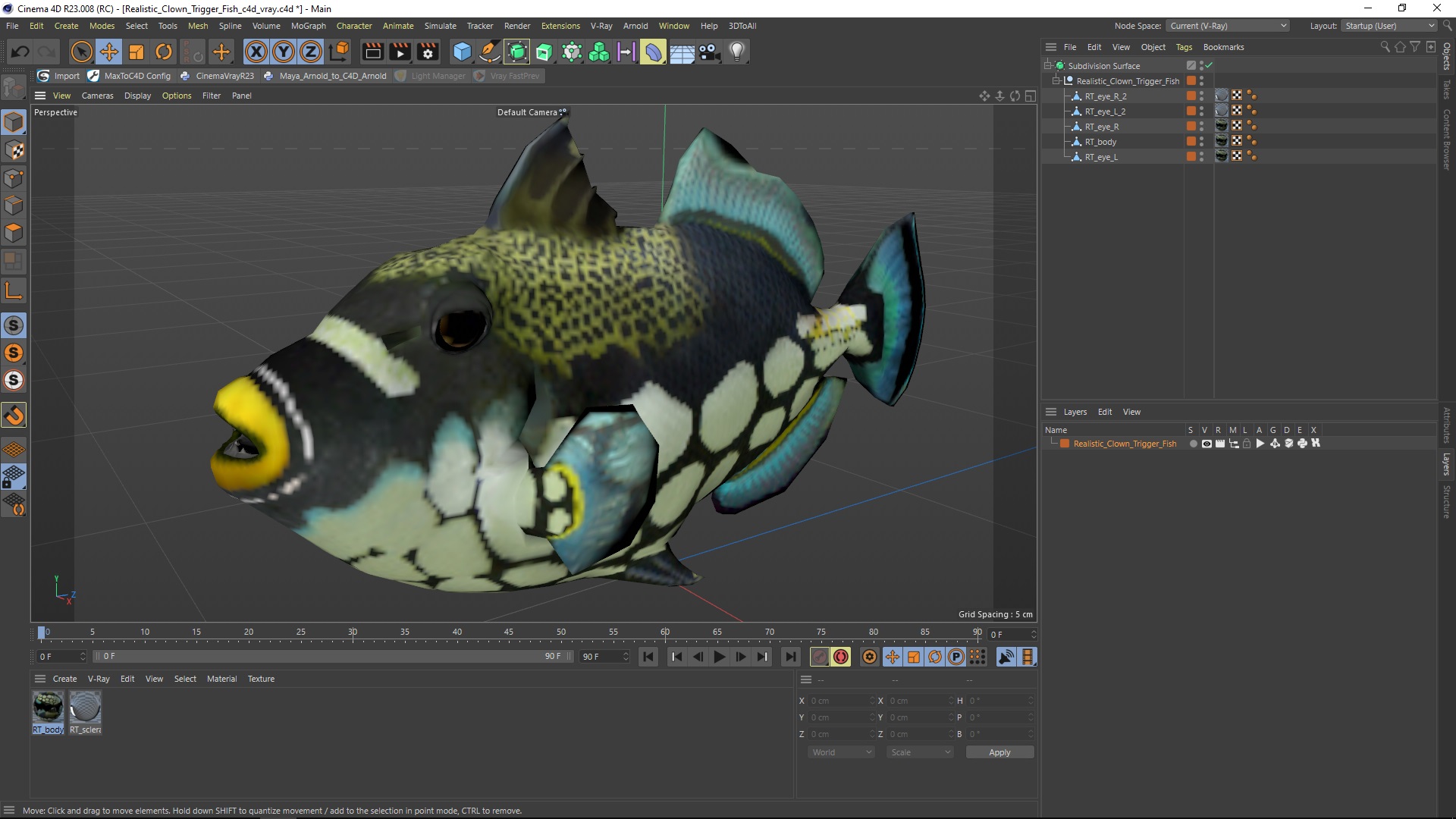 3D Realistic Clown Trigger Fish model