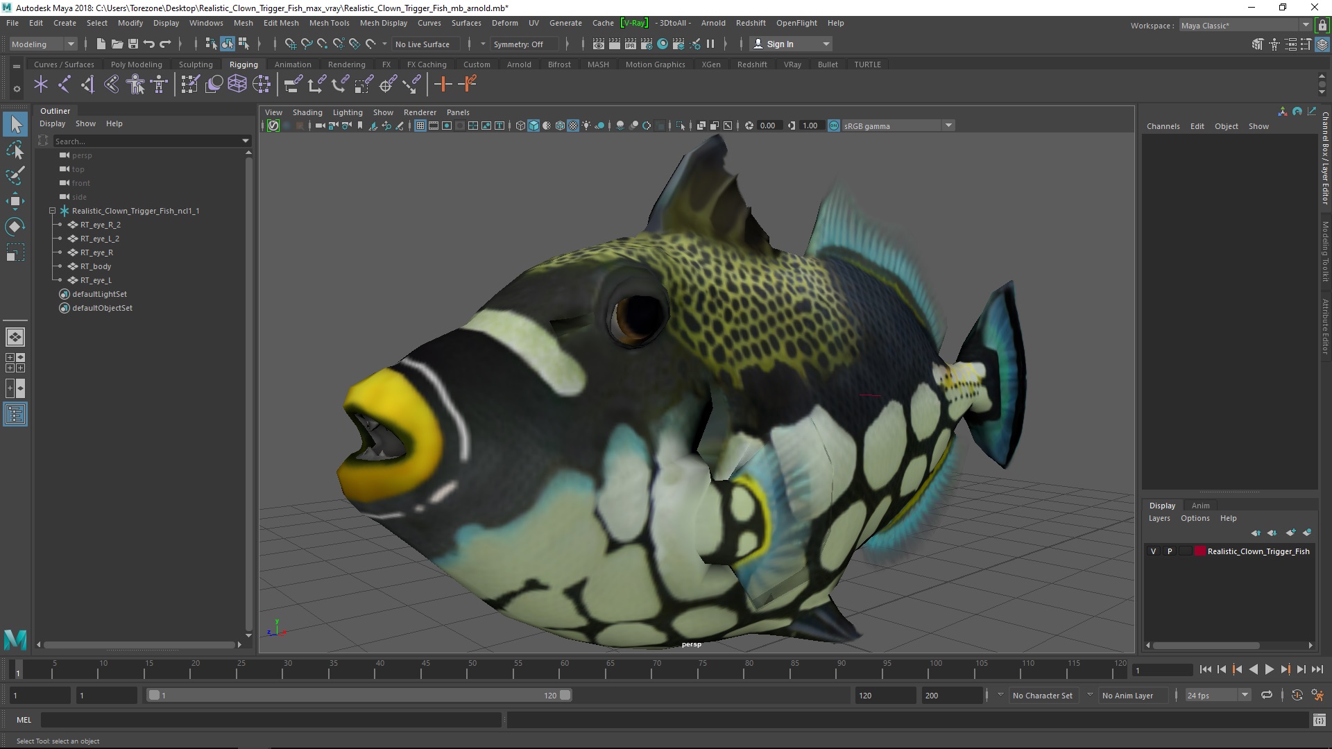 3D Realistic Clown Trigger Fish model
