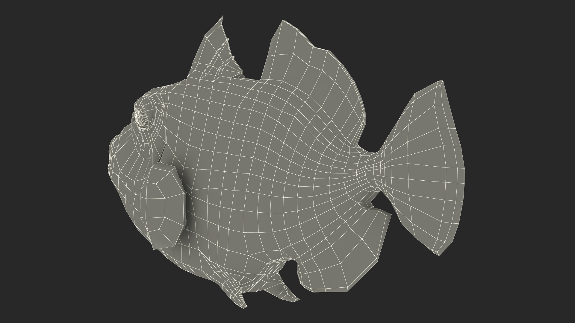 3D Realistic Clown Trigger Fish model