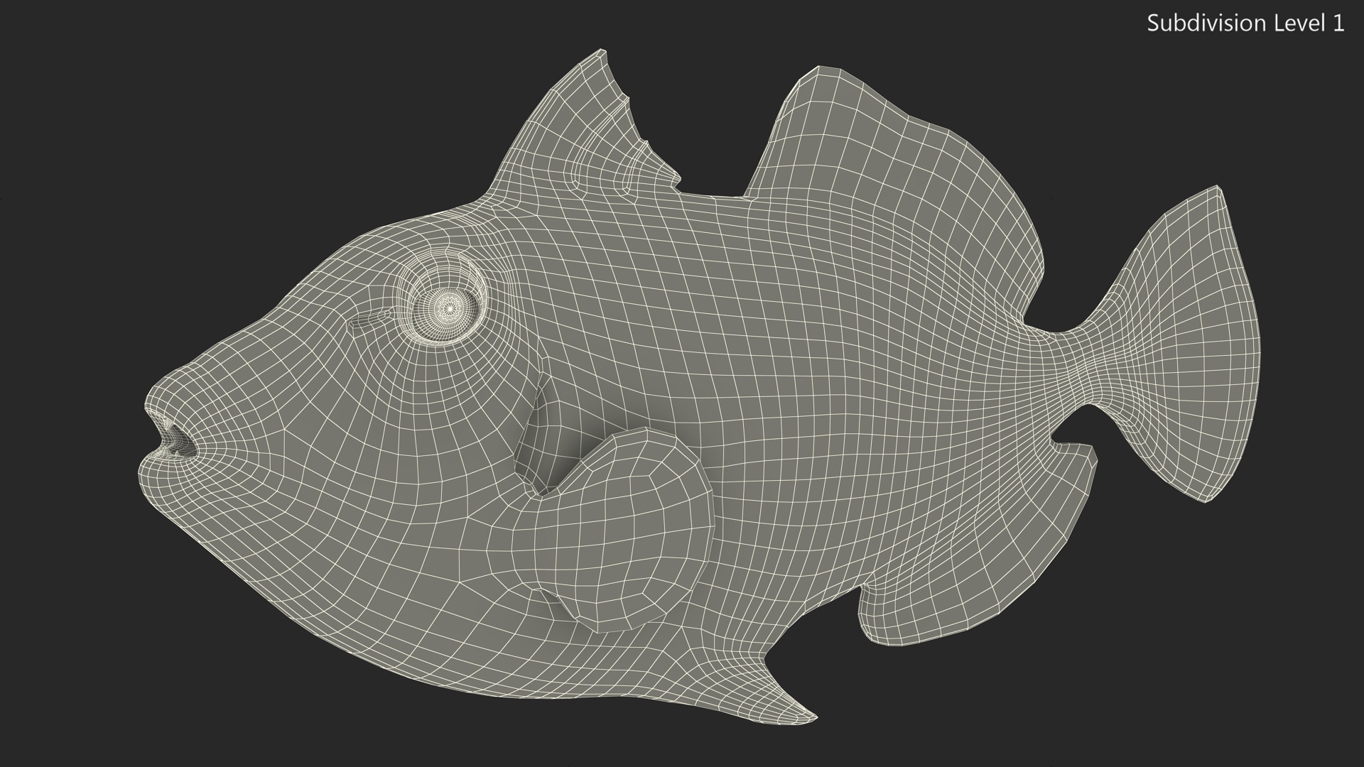 3D Realistic Clown Trigger Fish model