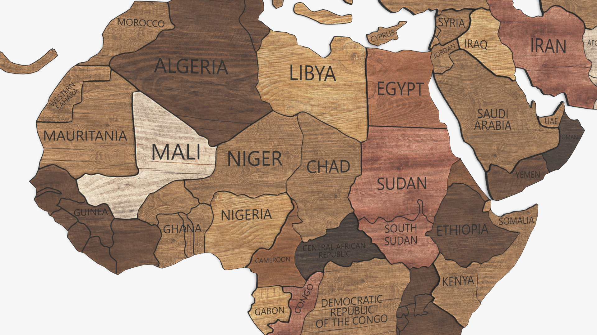 3D model Wood World Map Wall Decor