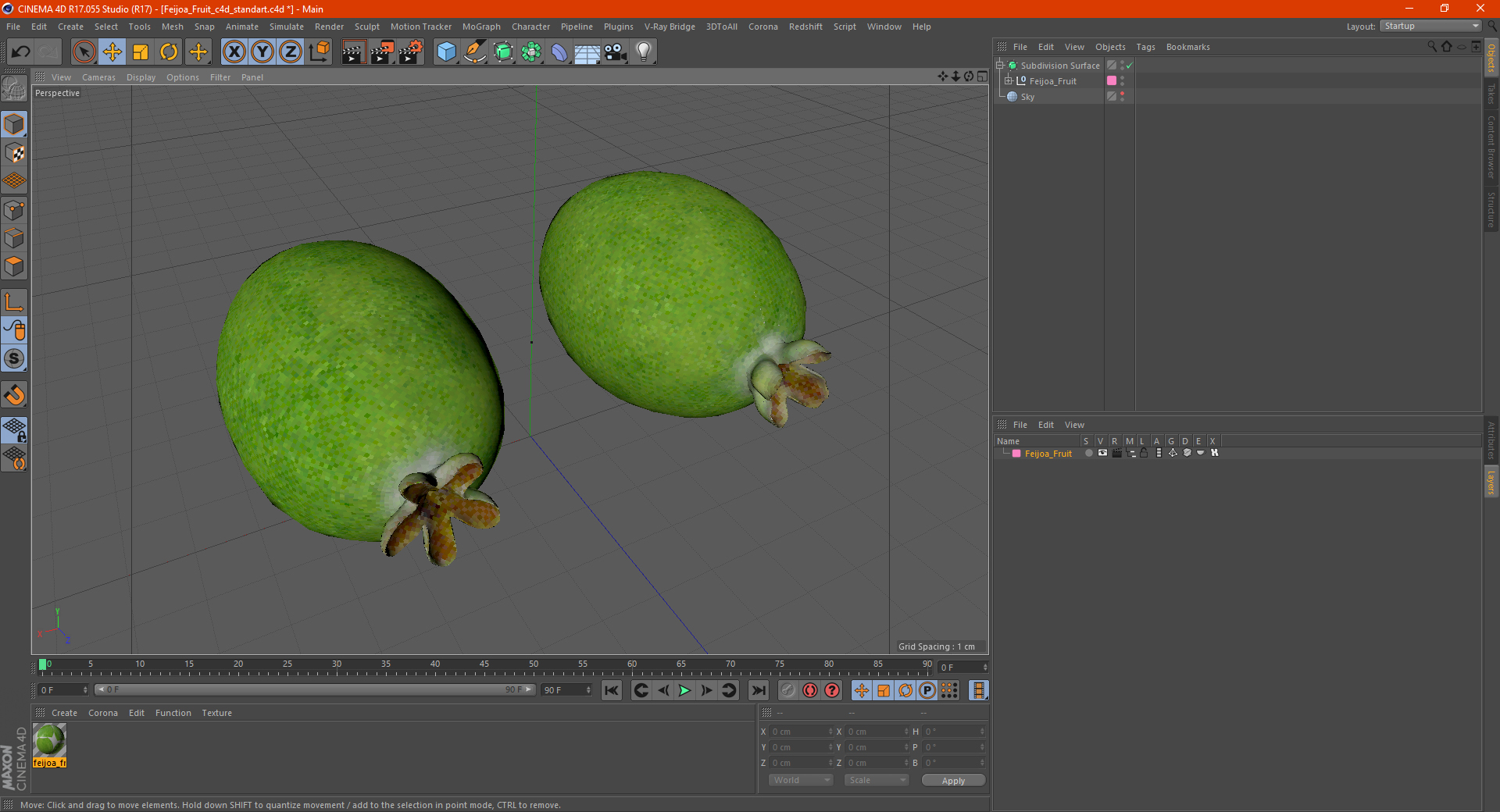 Feijoa Fruit 3D
