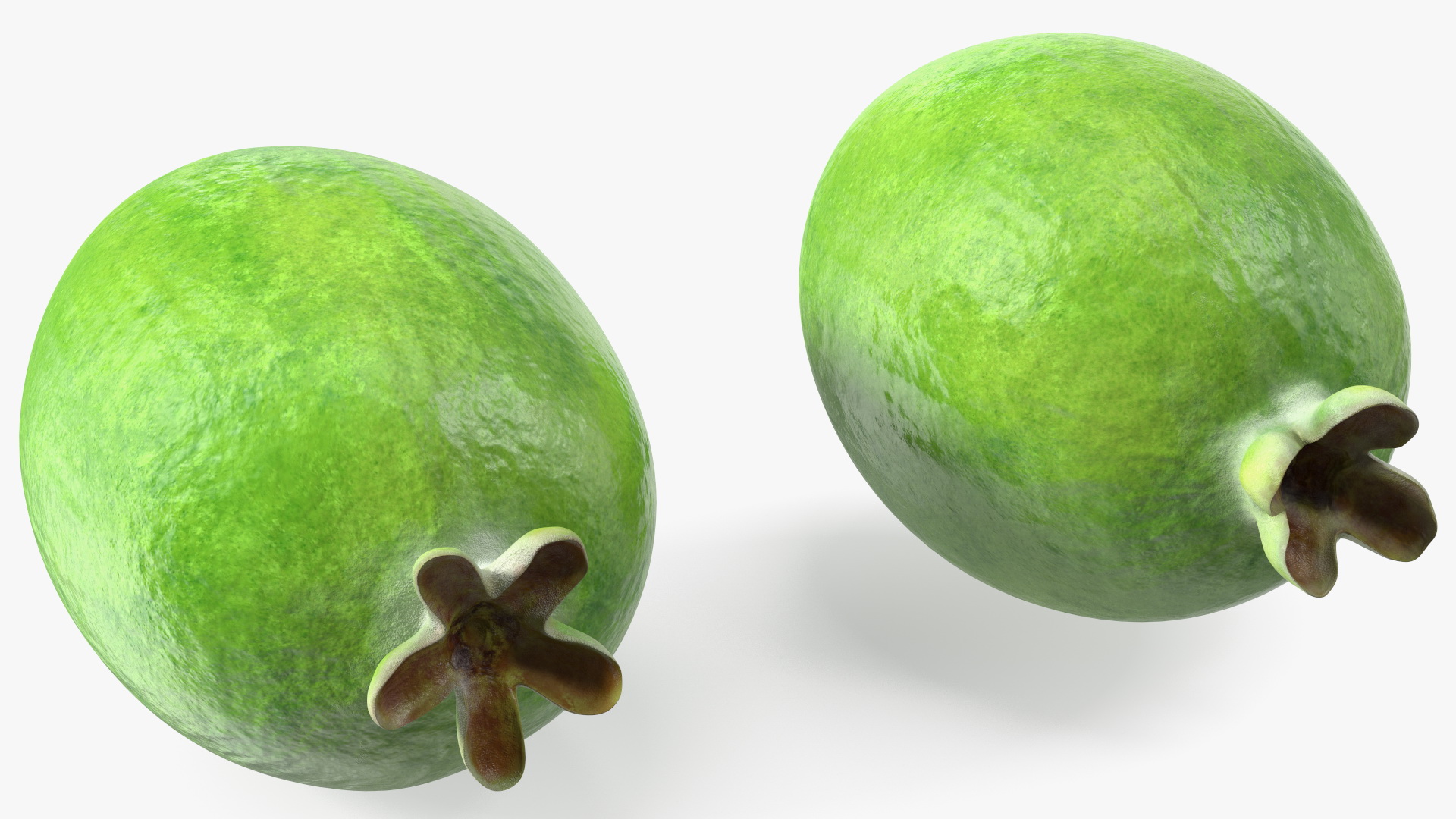 Feijoa Fruit 3D